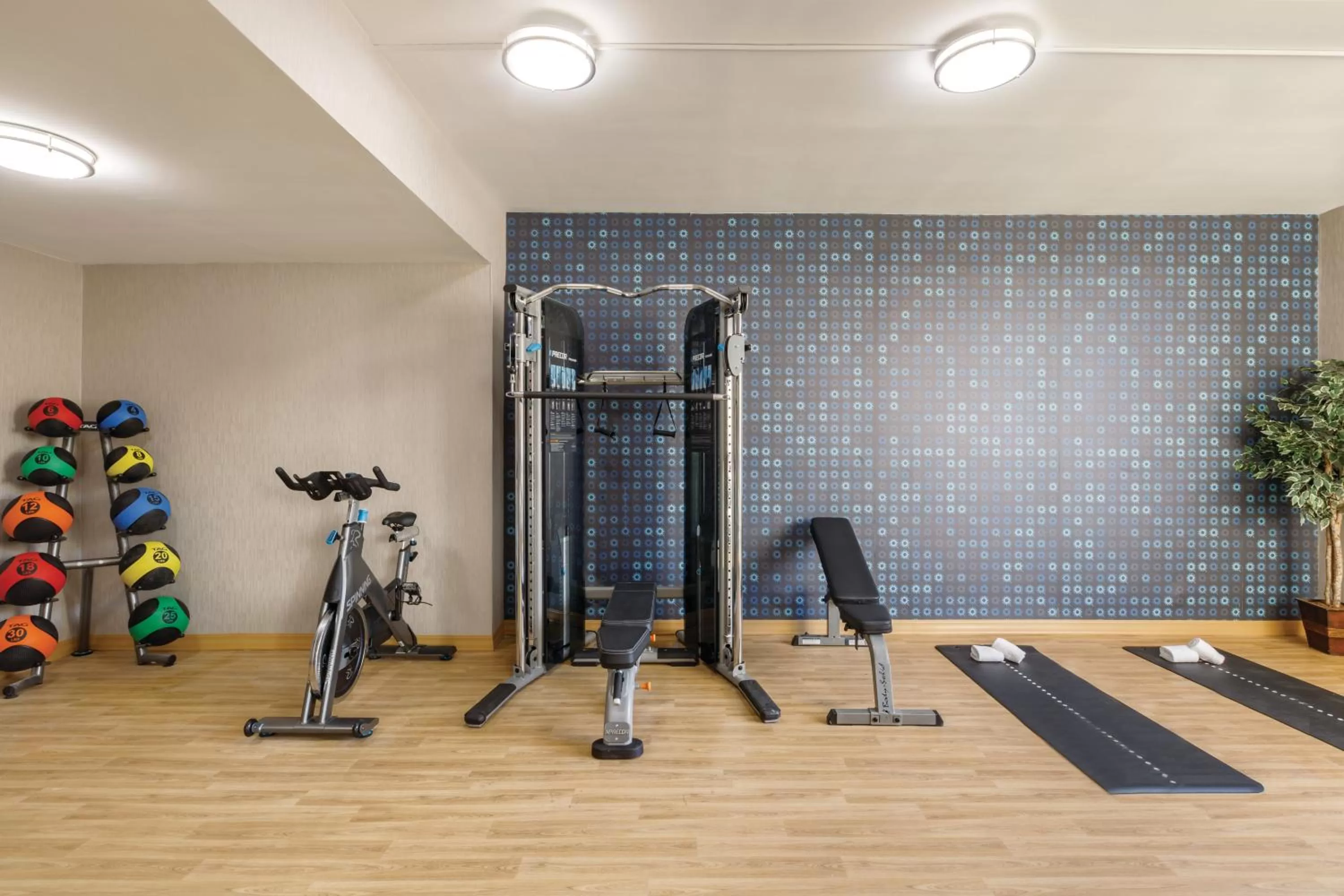 Fitness centre/facilities in La Quinta inn & suites by Wyndham Dothan
