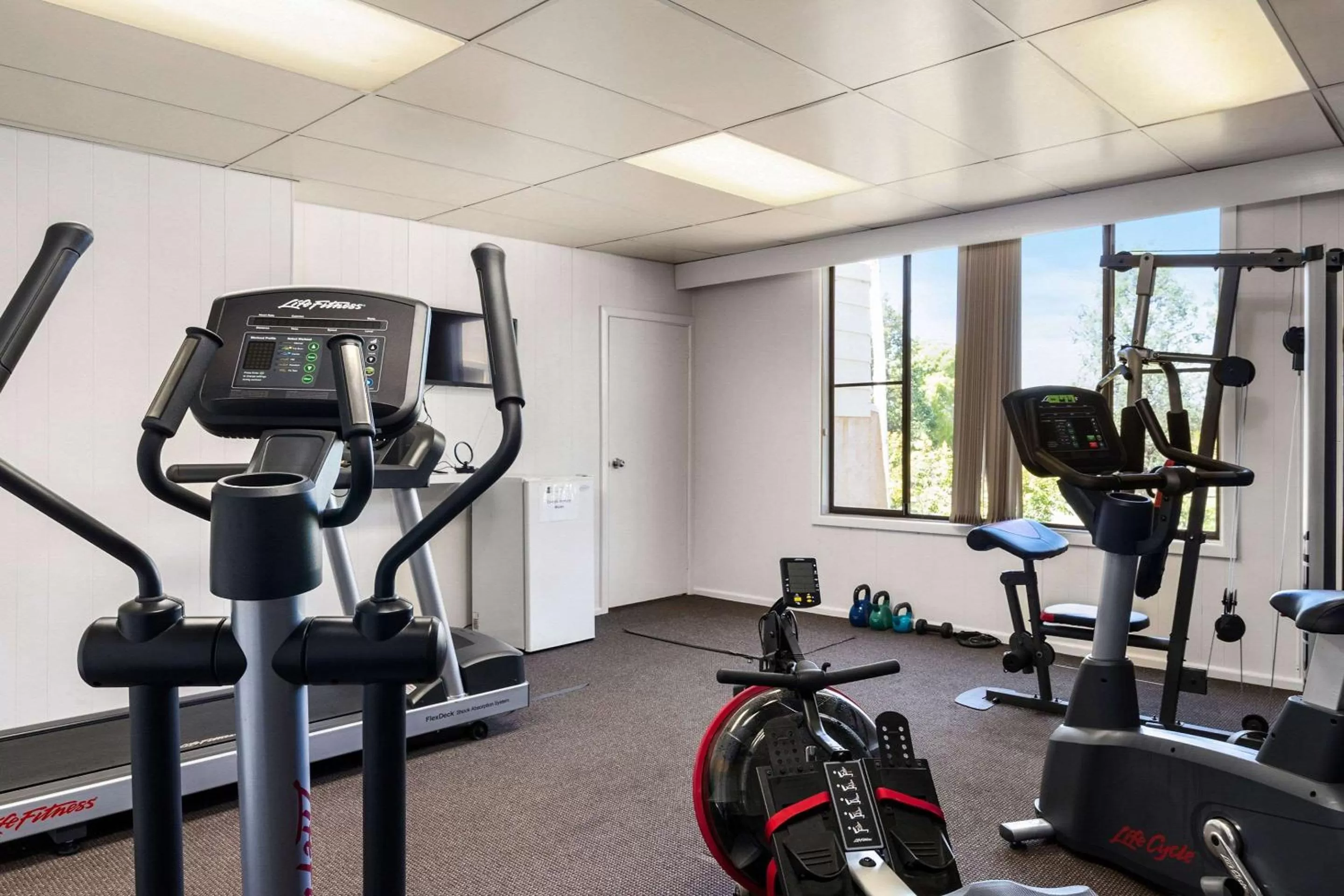 Activities in Quality Inn Dubbo International