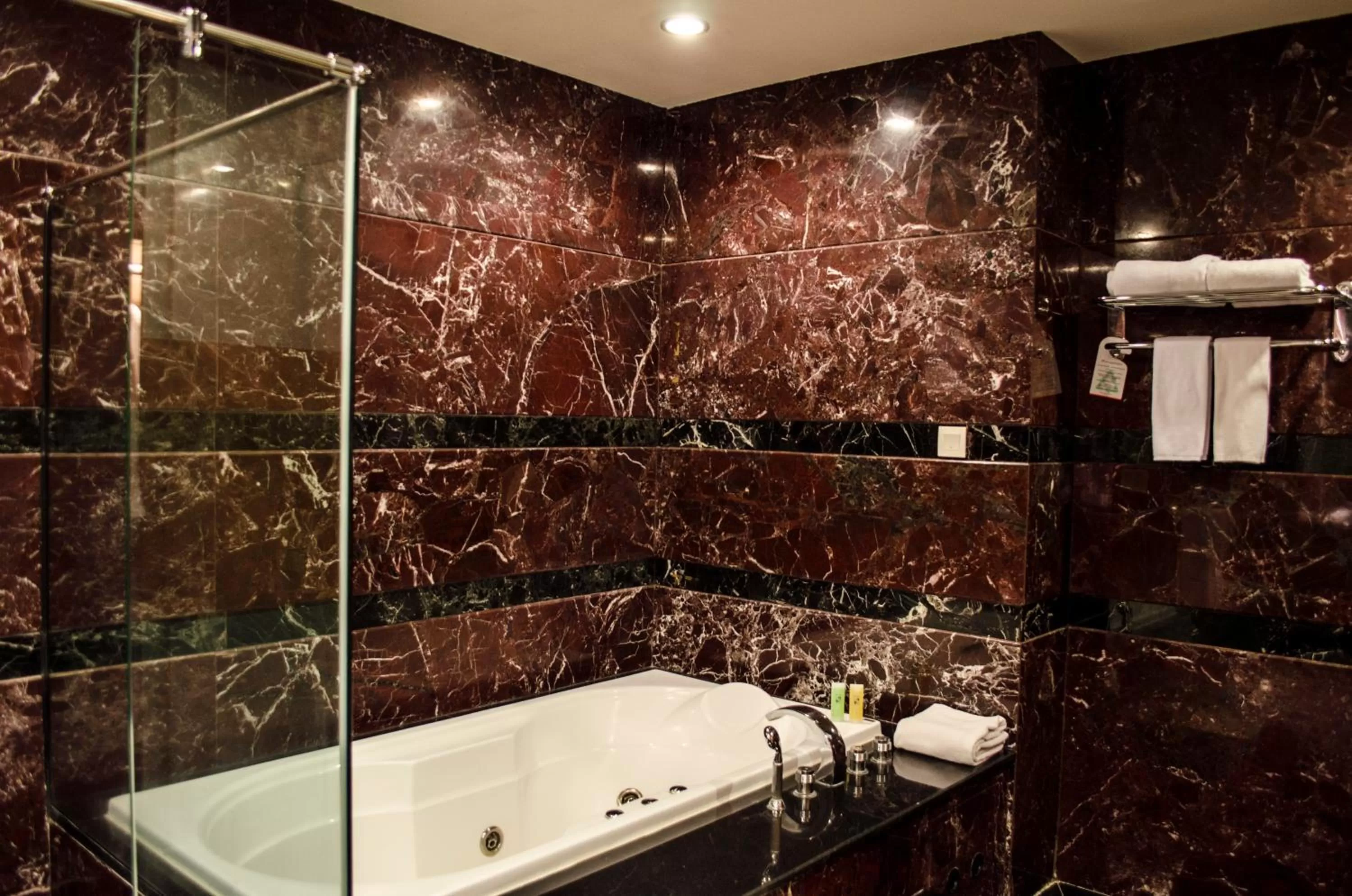 Hot Tub in Swiss-Belhotel Maleosan Manado