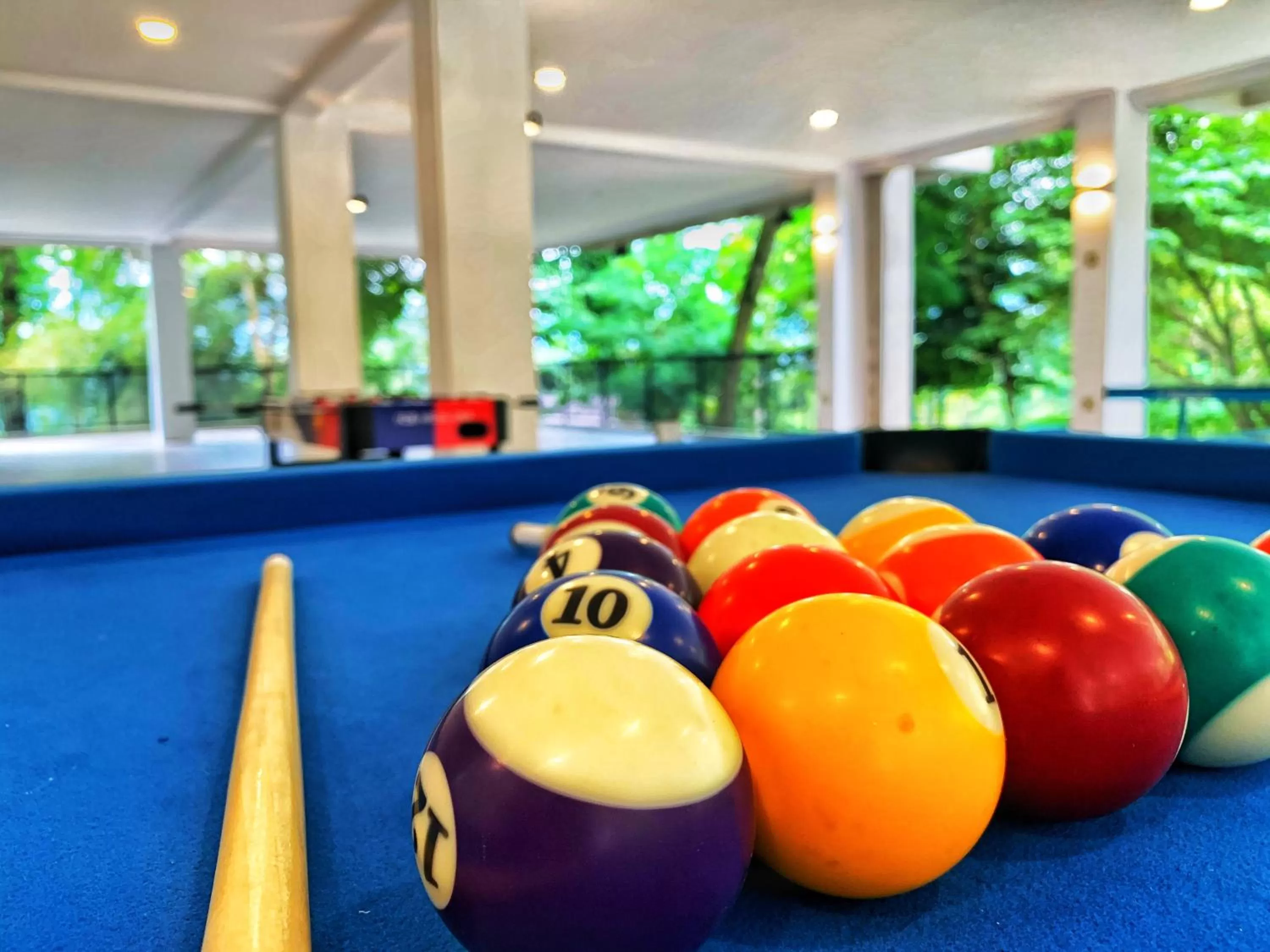 Billiard in Harmony Valley Retreat