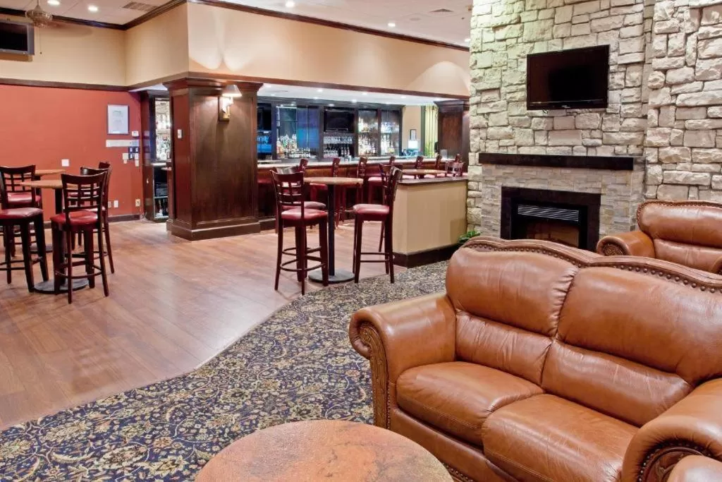 Wyndham Houston near NRG Park - Medical Center