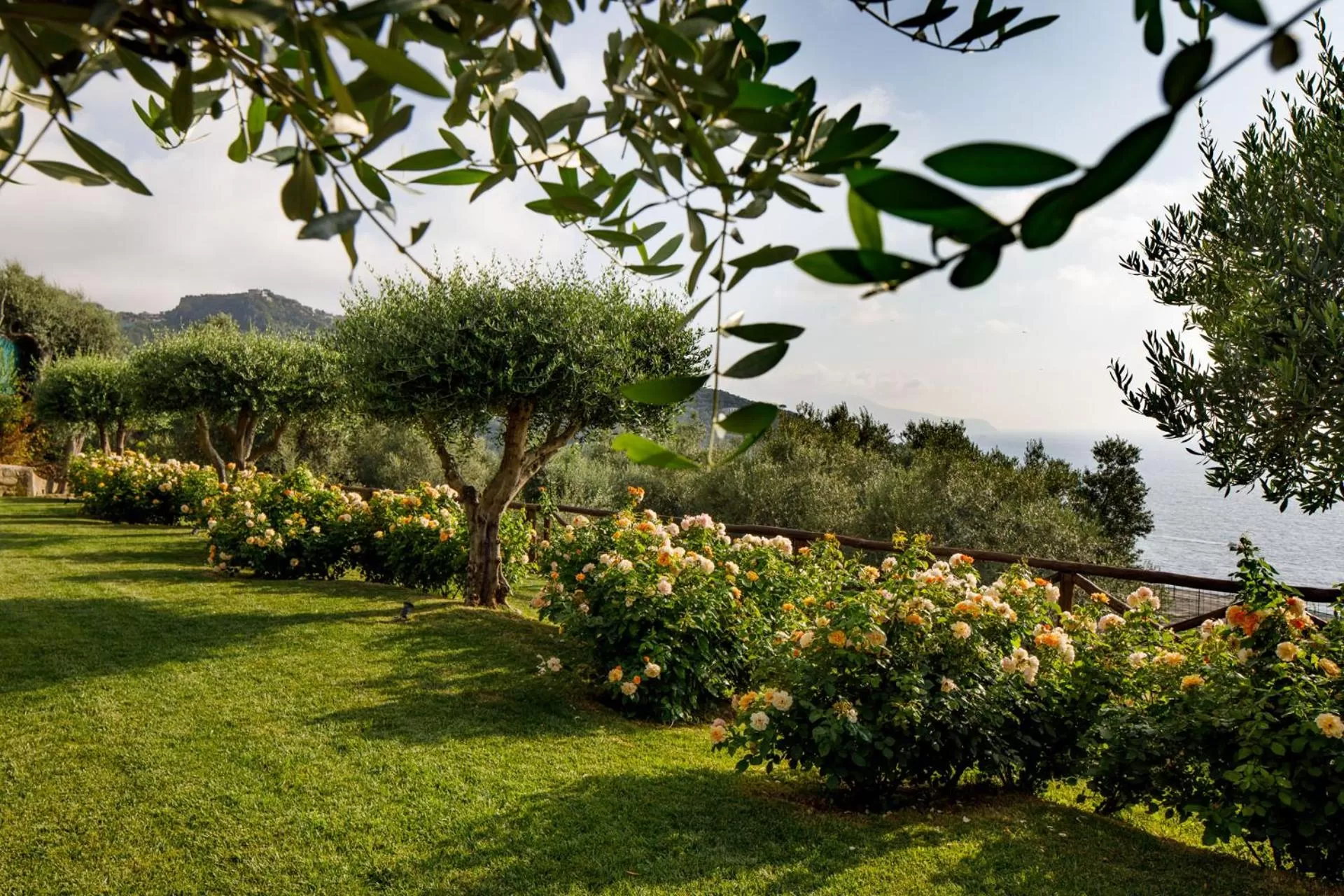 Garden in Villa Fiorella Art Hotel