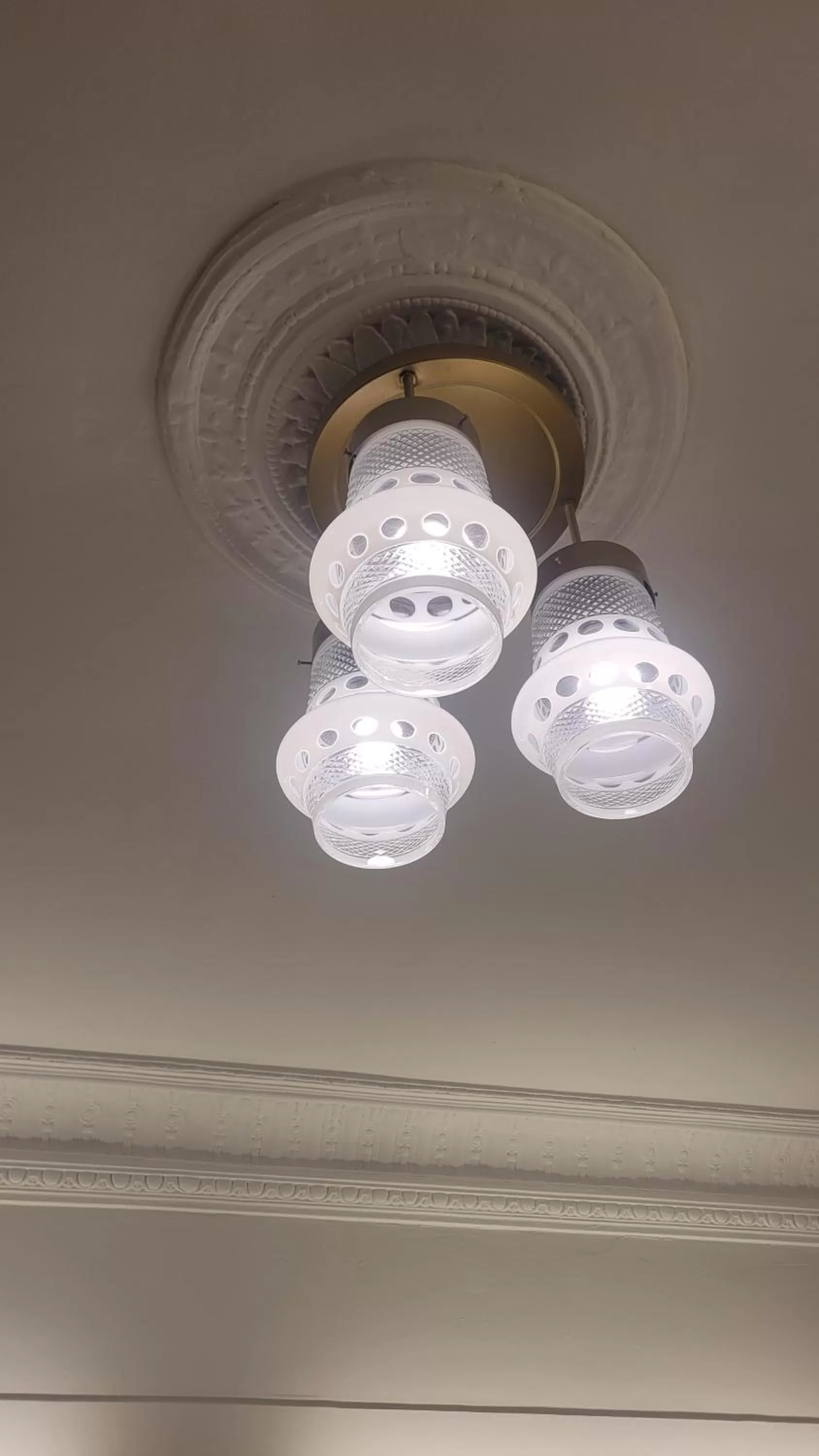 Decorative detail in FAUNA Montevideo