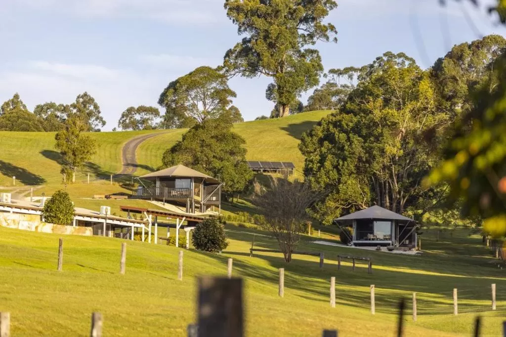 The Lodge Bellingen