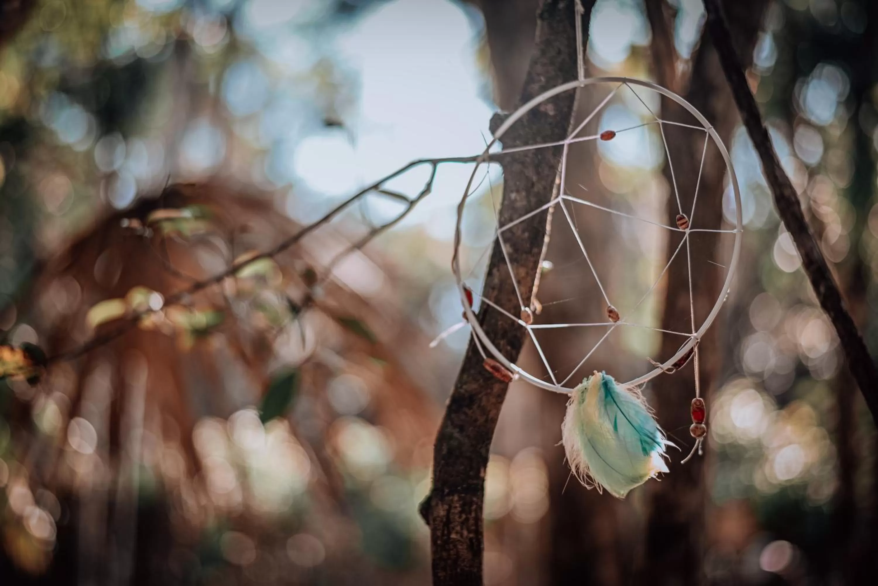 Garden, Other Animals in Lunita Jungle Experience