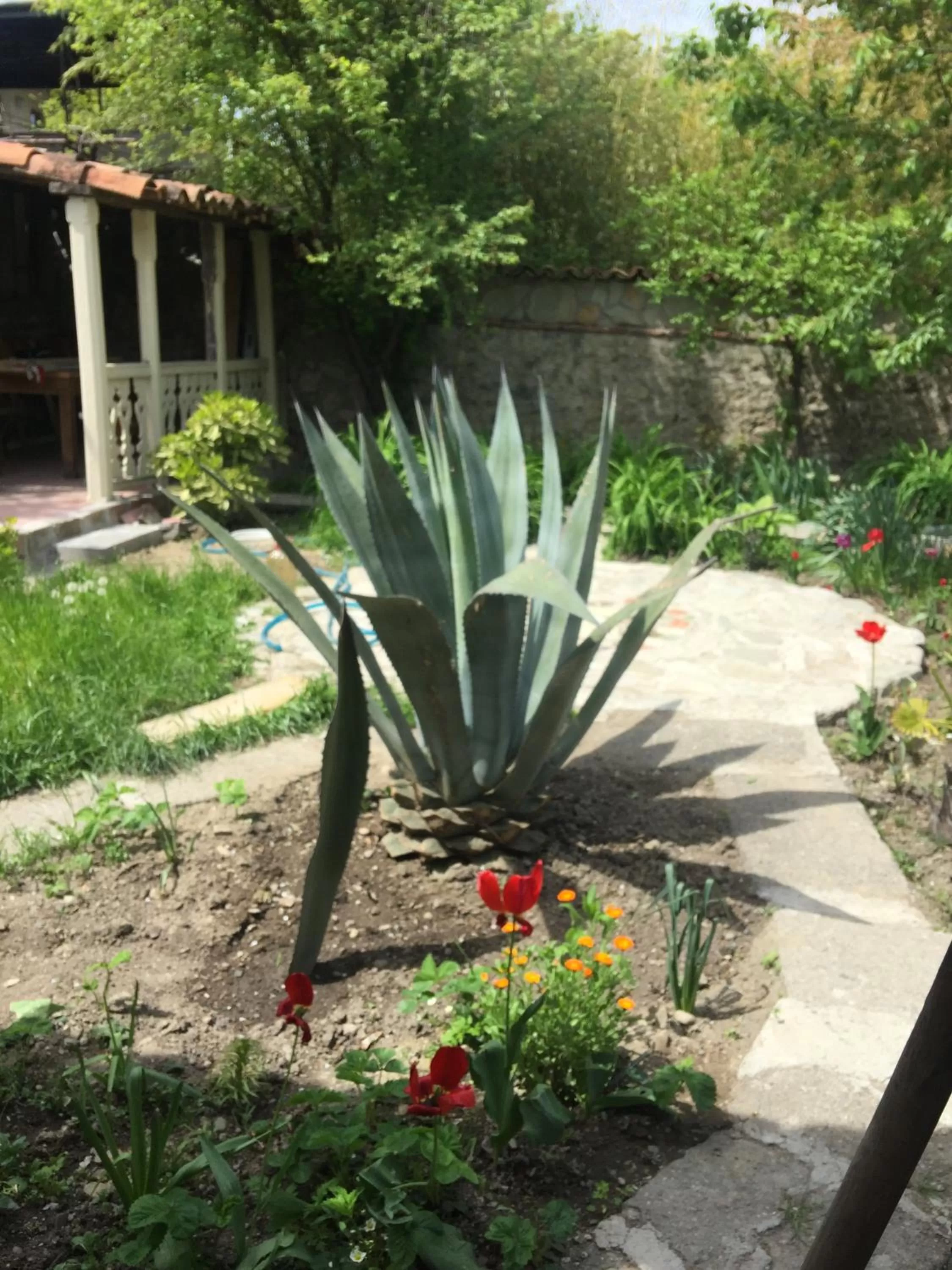 Garden in Nika's Guest House