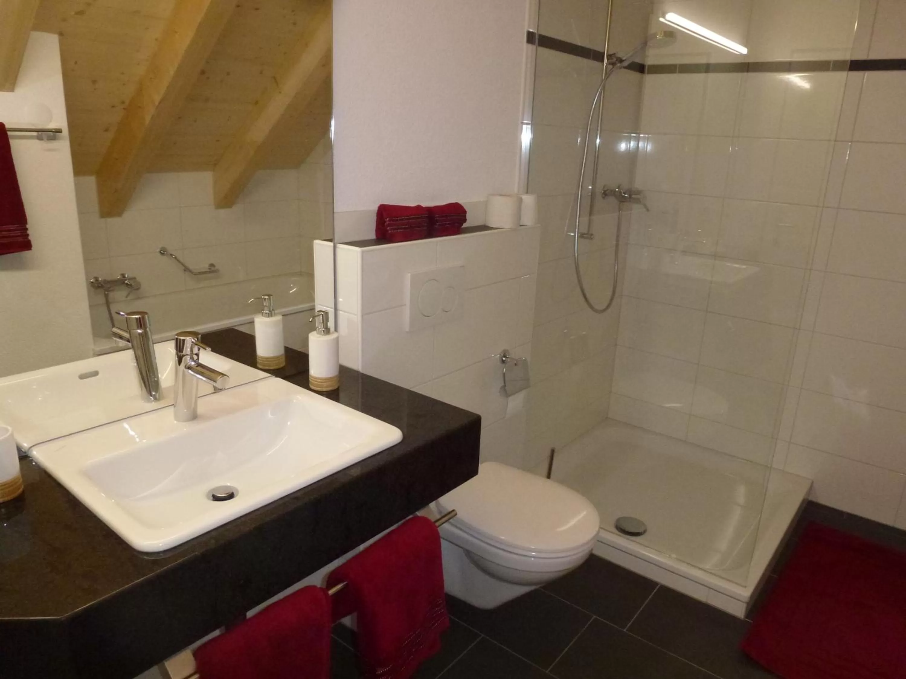 Bathroom in Hotel Enjoy