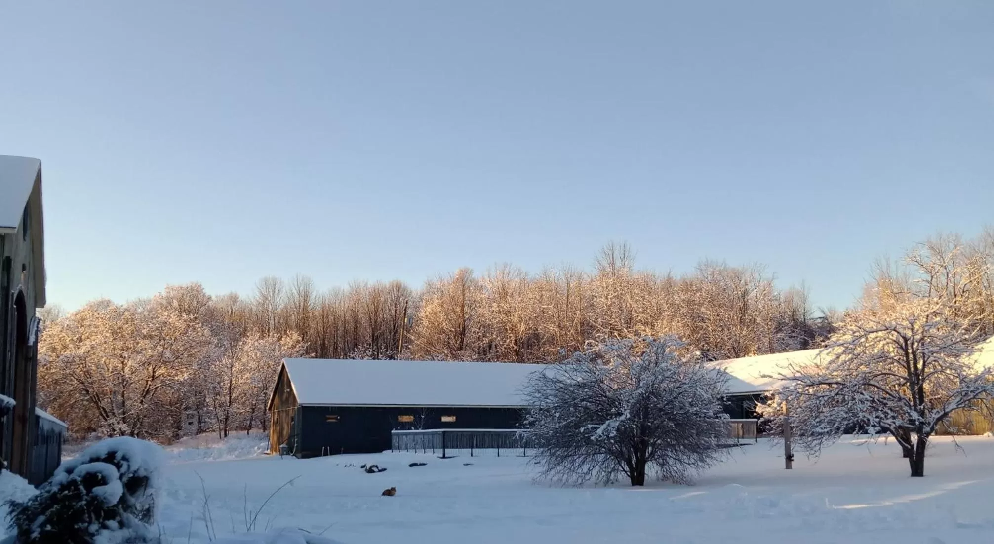 Day in Beatnik Hotel