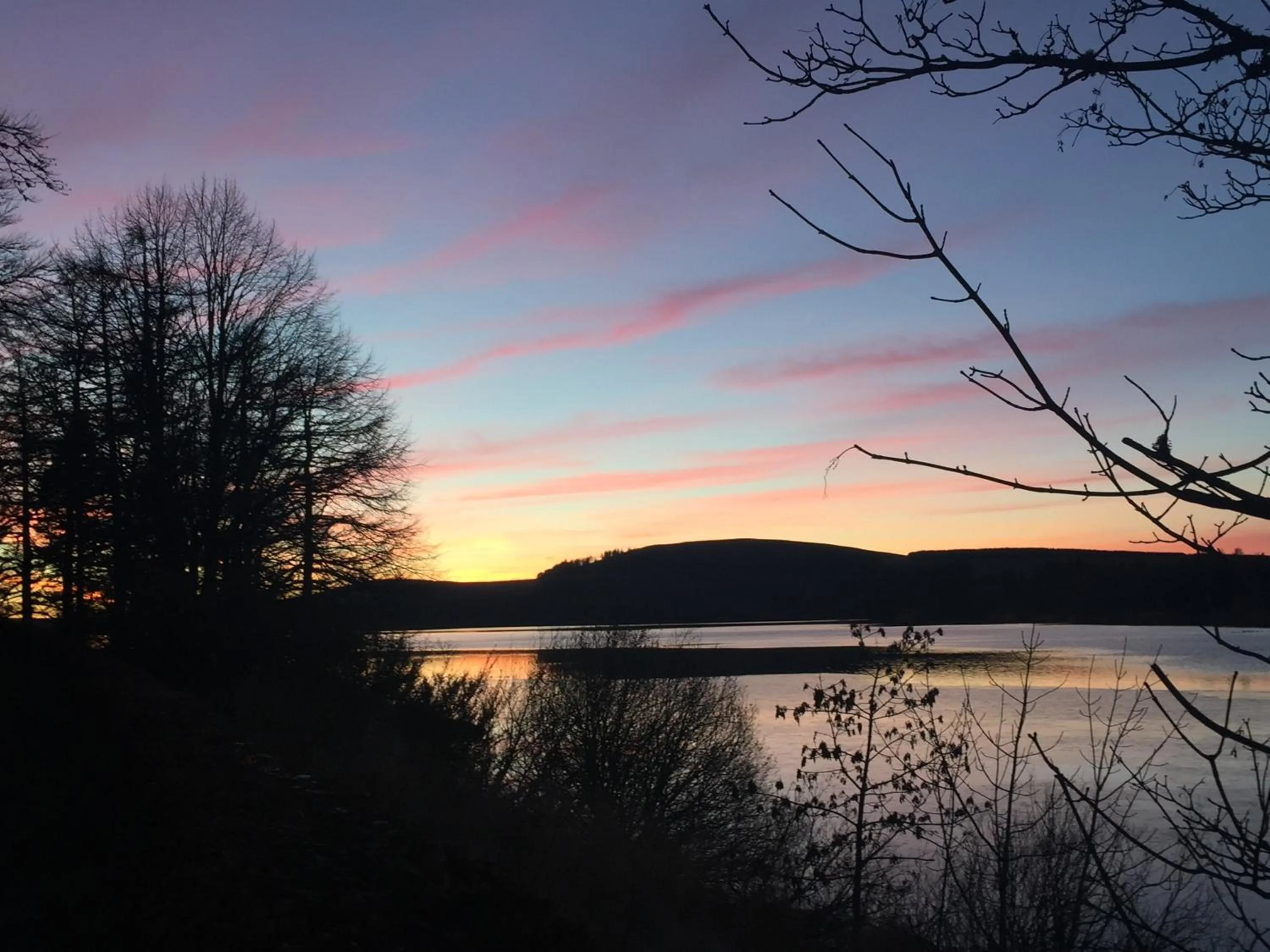Natural landscape in Lodge at Lochside
