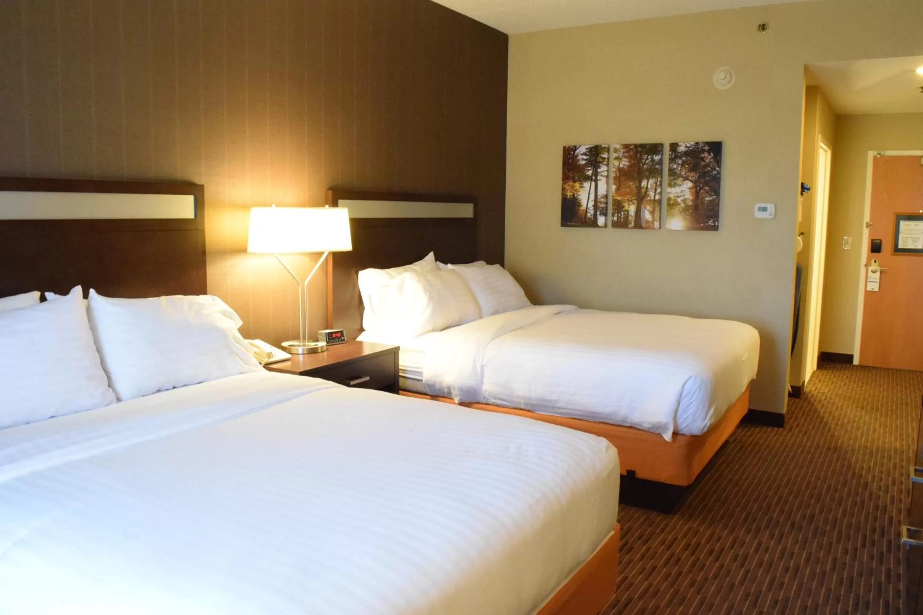 Holiday Inn Express Hotel & Suites Watertown - Thousand Islands by IHG