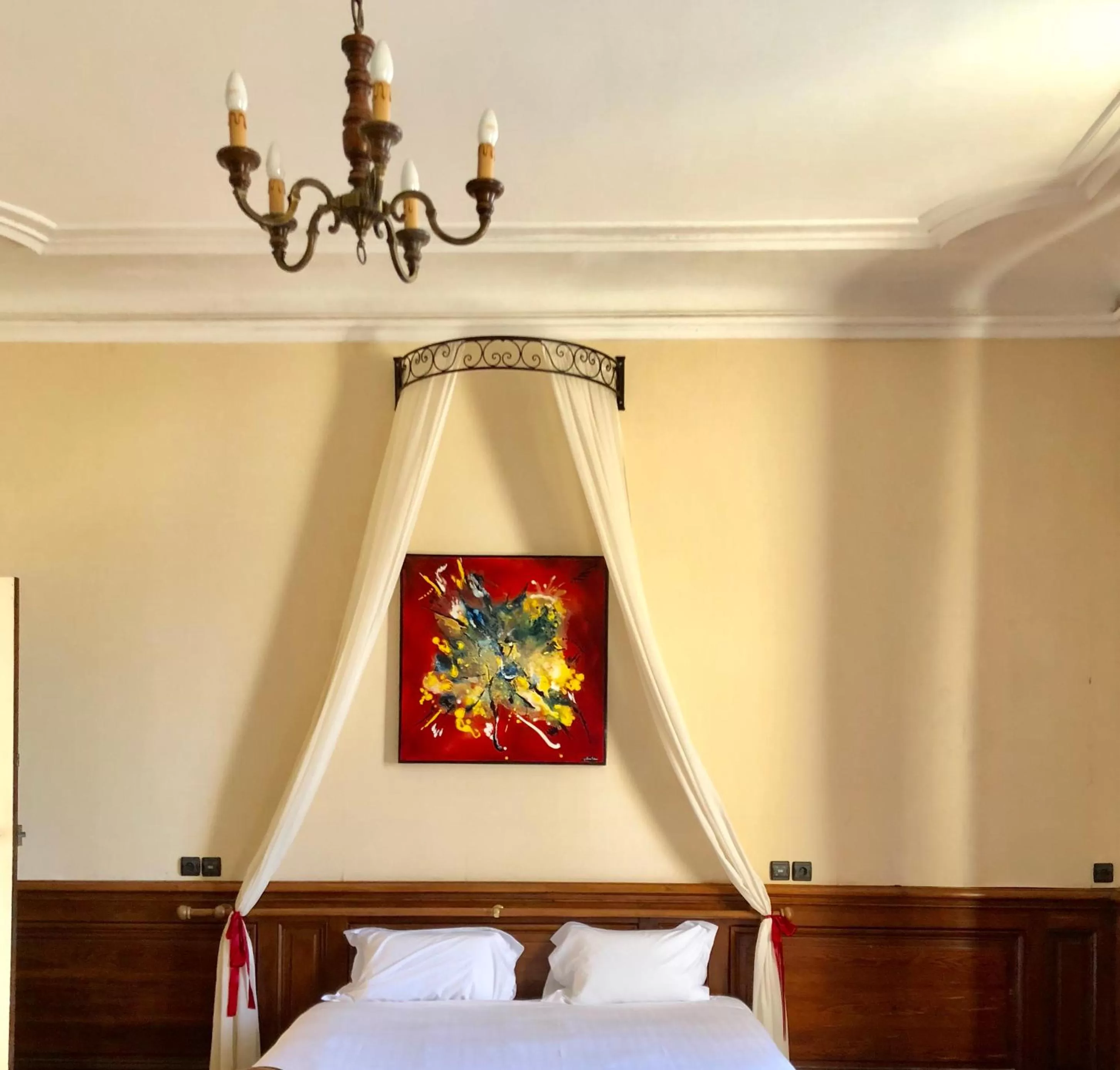 Bed in Hôtel Particulier CHÂTEAU DES MARAIS Proximité et vue sur le Lac de Grand lieu