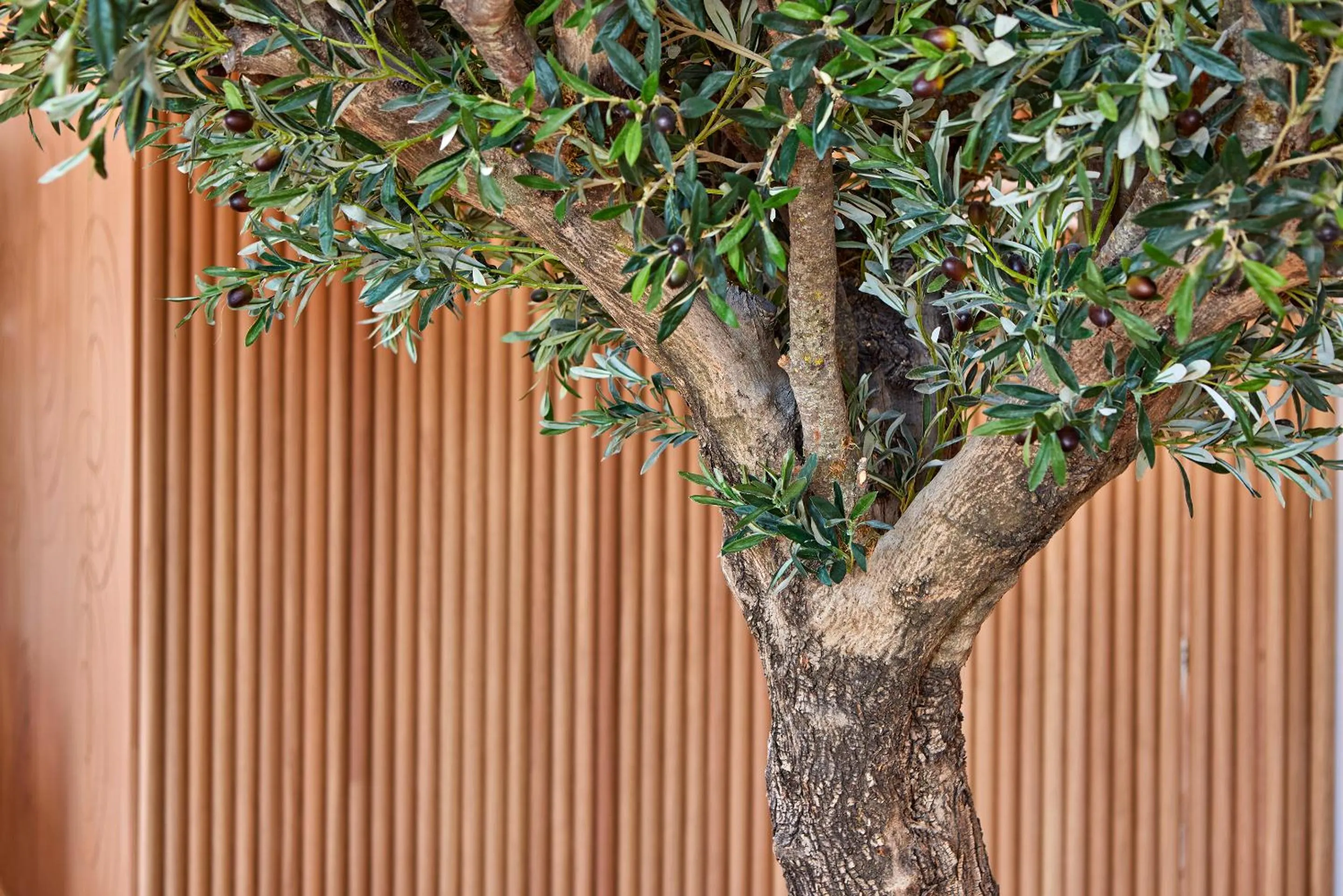 Decorative detail in Universal Hotel Aquamarin