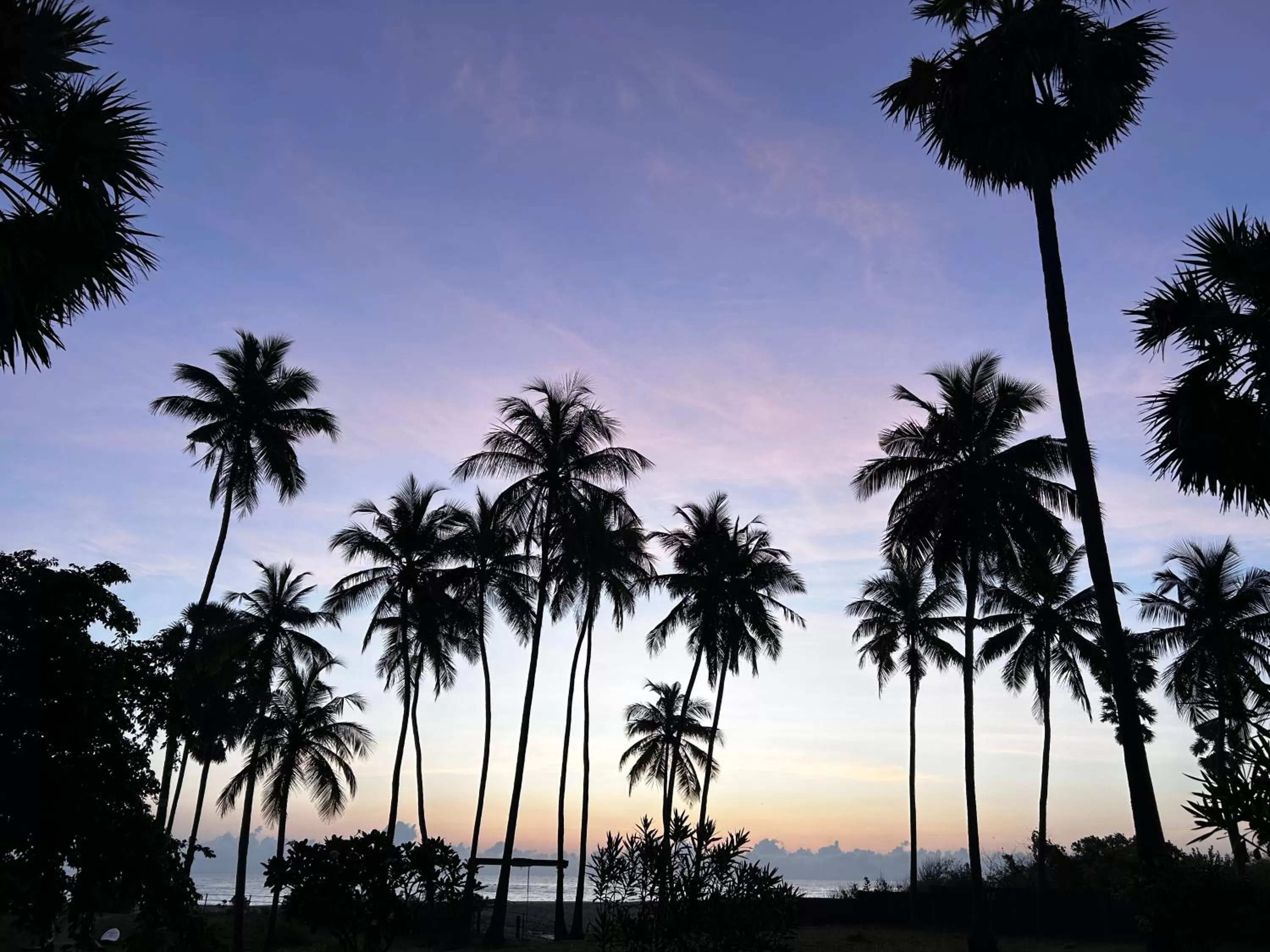Beach, Sunrise/Sunset in 108 Palms Beach Resort