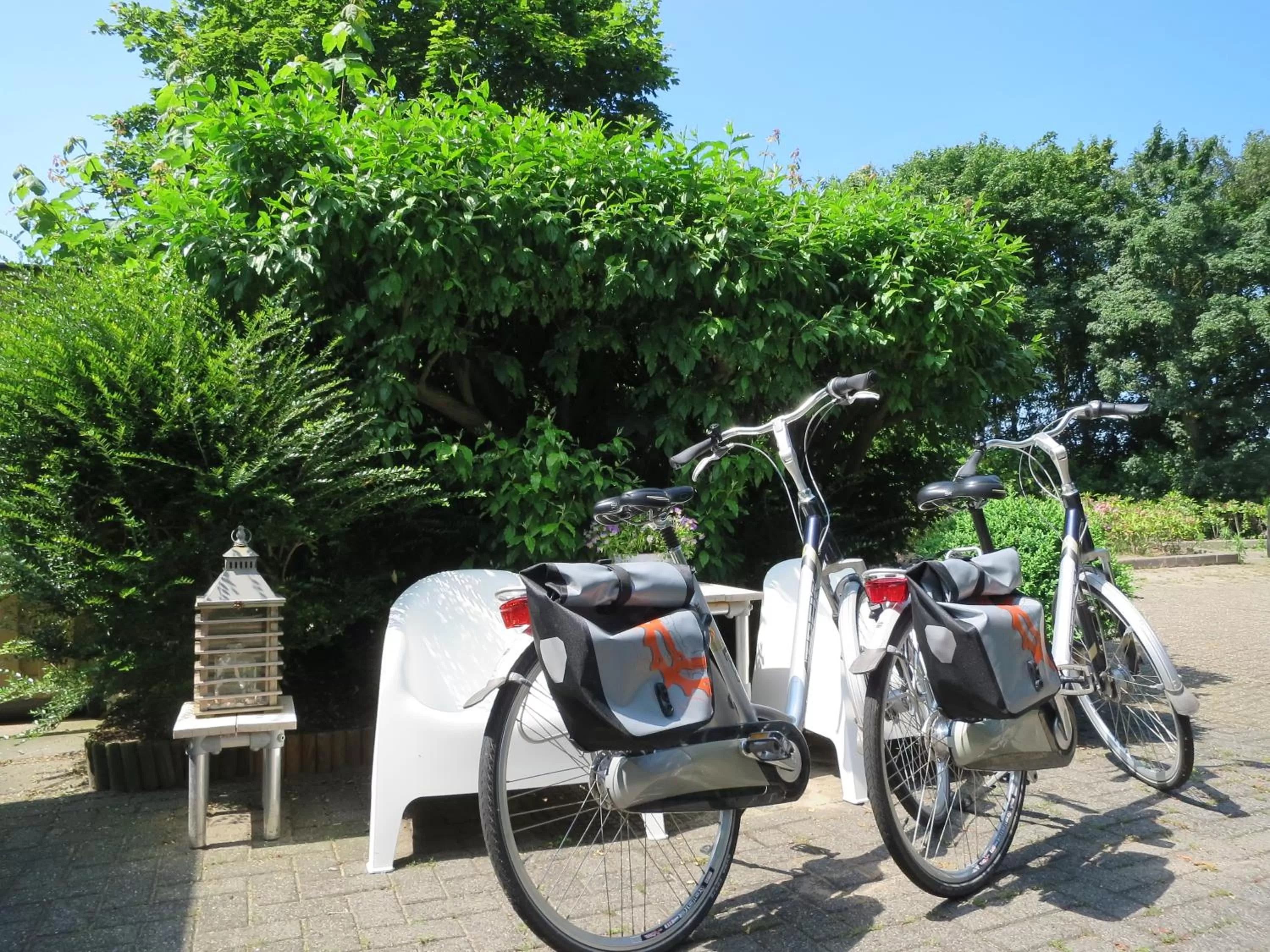 Other in B&B Vloedlijn Texel