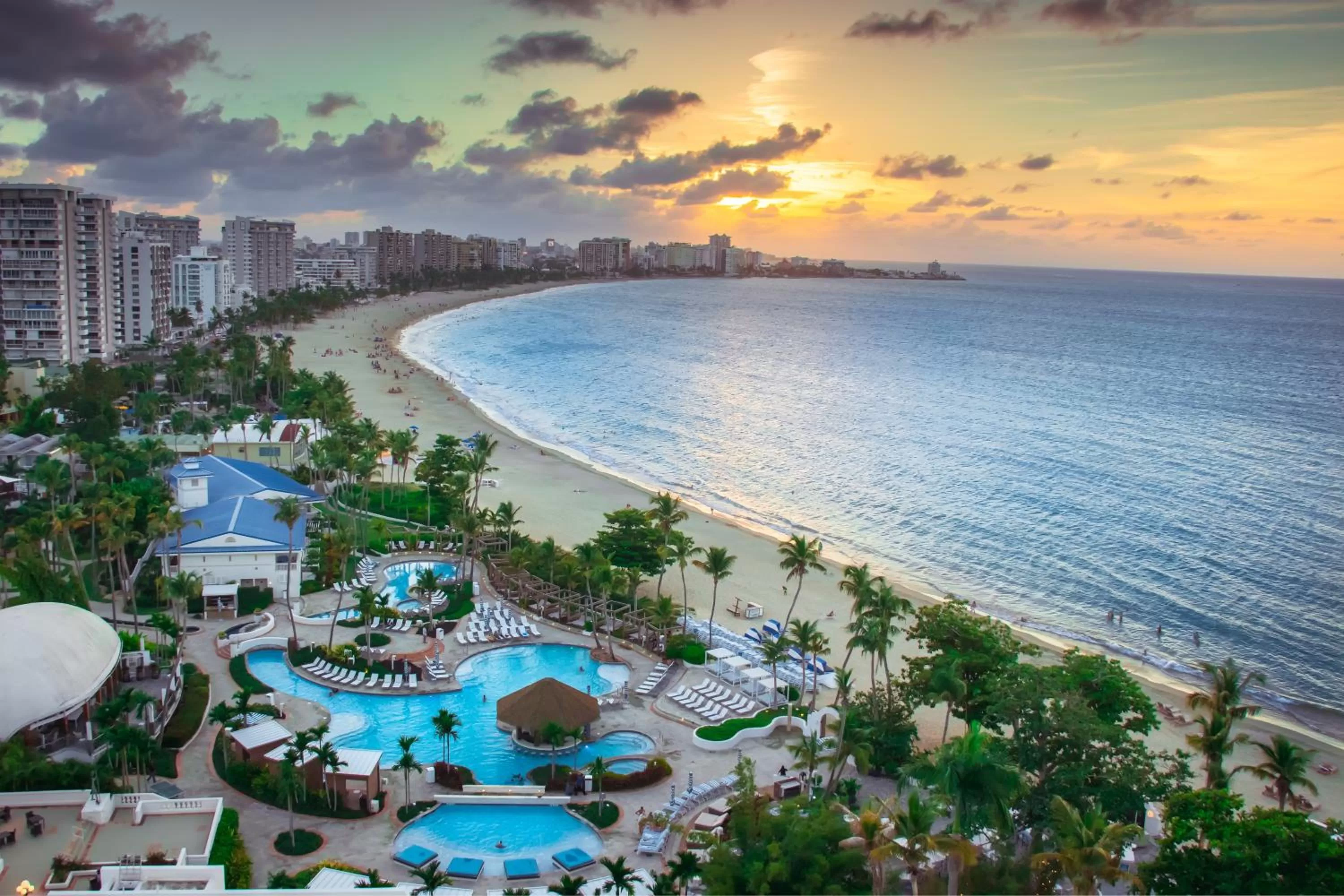 Pool view, Bird's-eye View in OCEAN VIEW DELUXE SUITE: PVT. BEACH & POOL