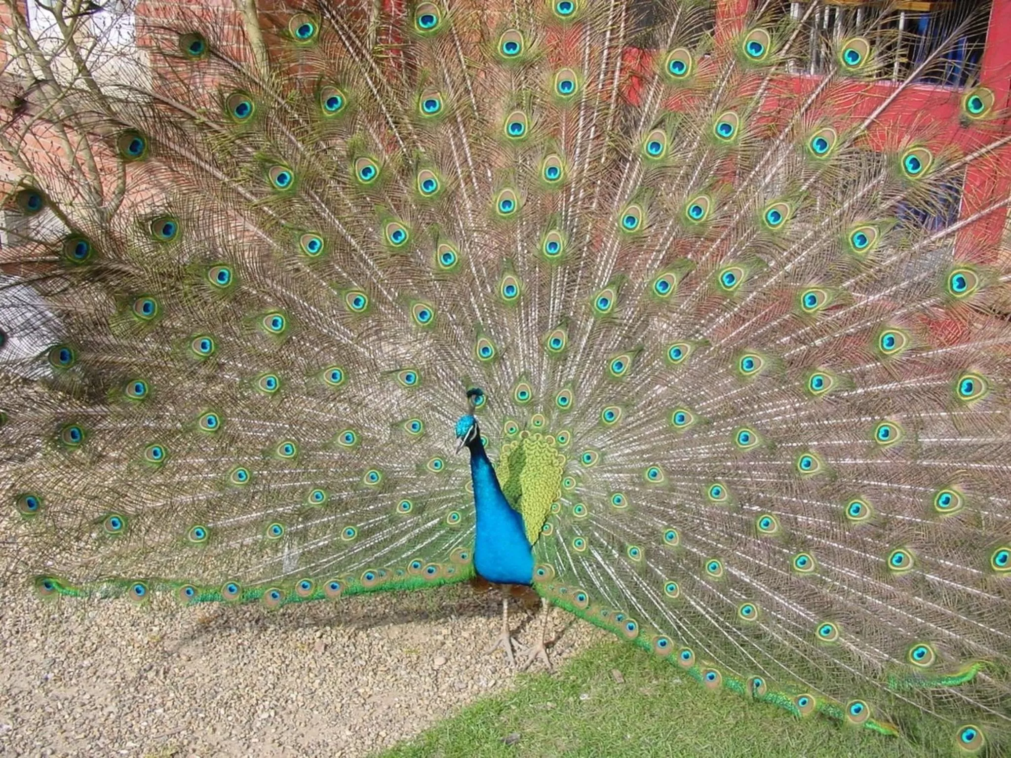 Other in Pendley Manor