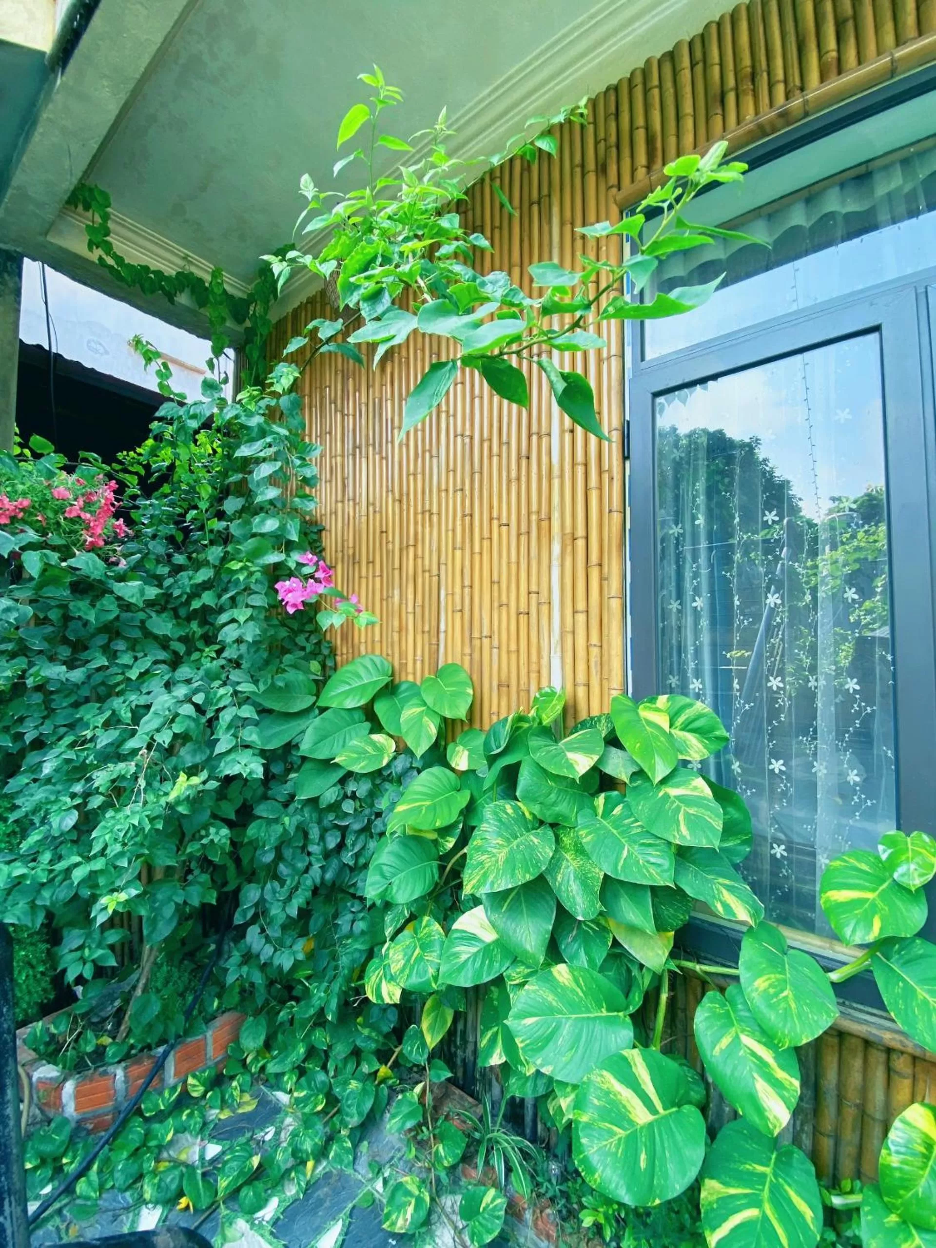 View (from property/room) in Trang An Moon Garden Homestay