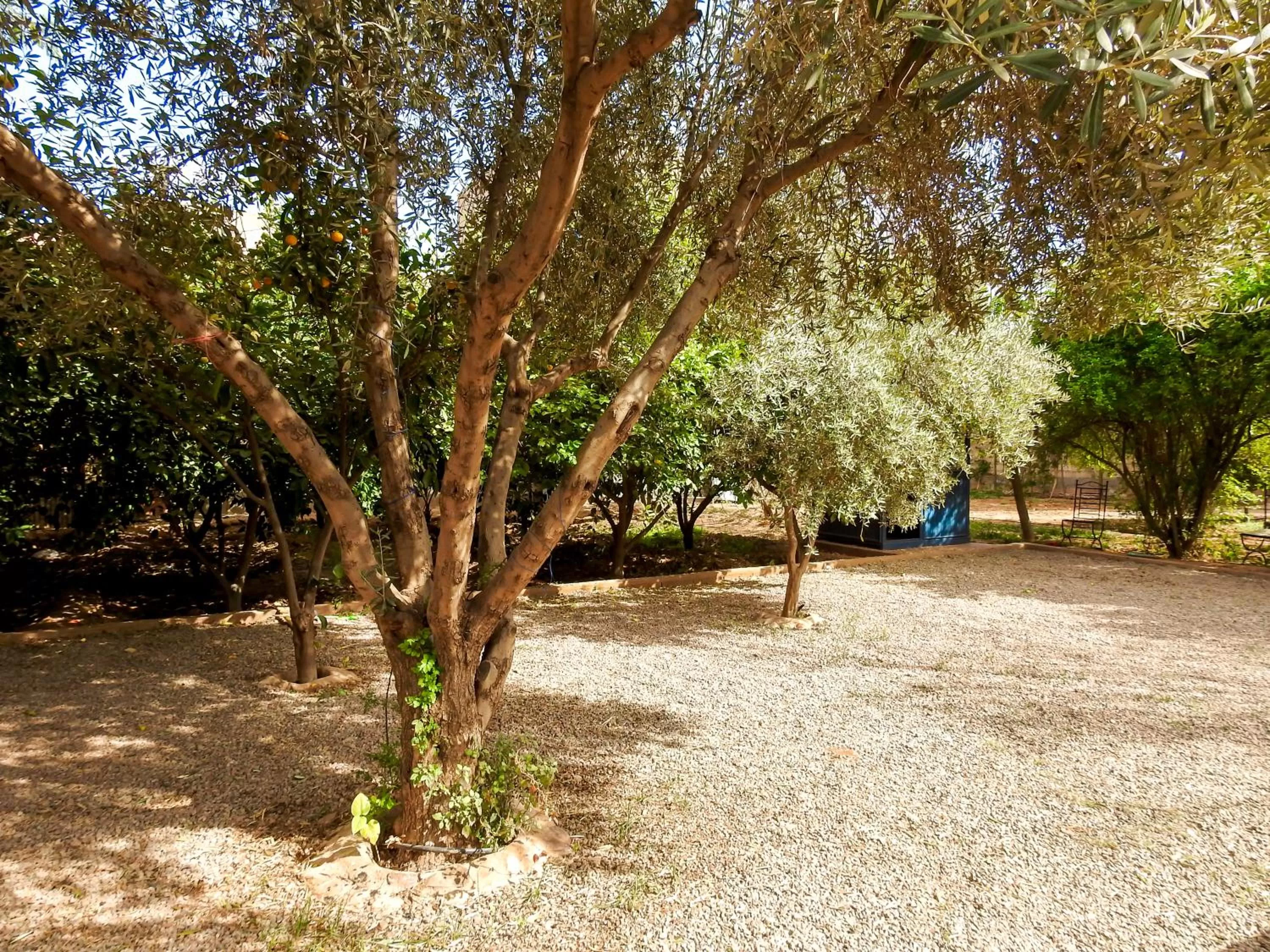 Parking in Le Bleu House