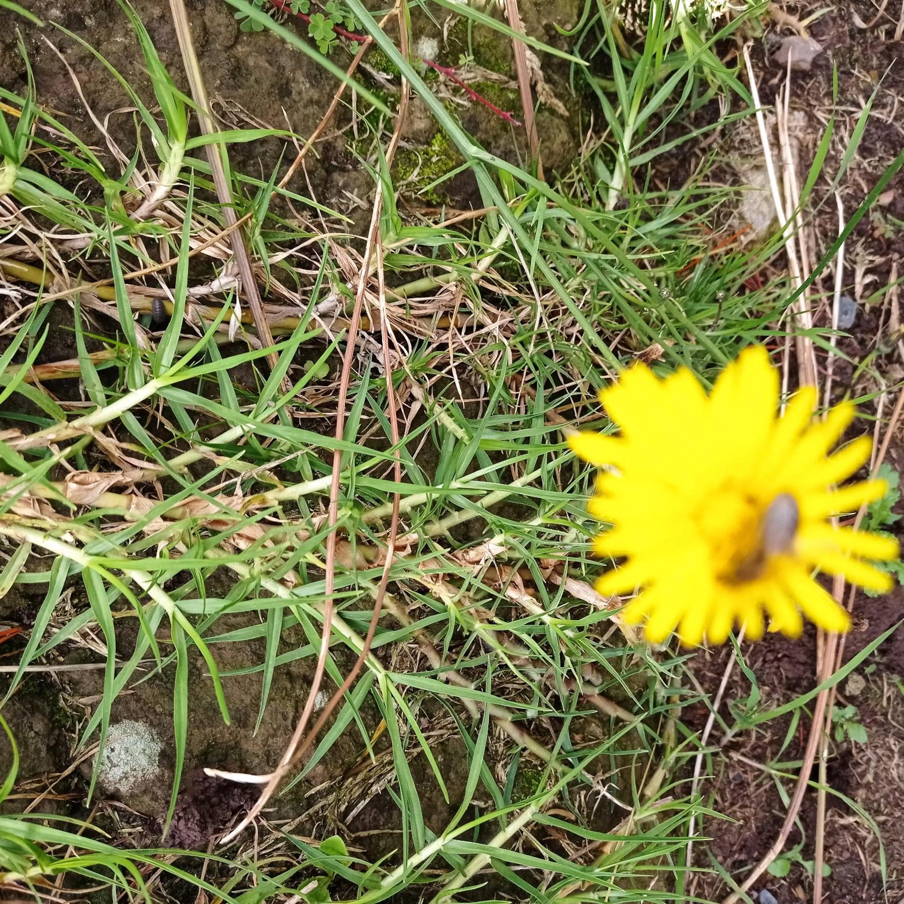 Hotel Refugio Pozo Azul