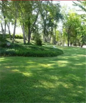 Other in Queen's Inn By The River