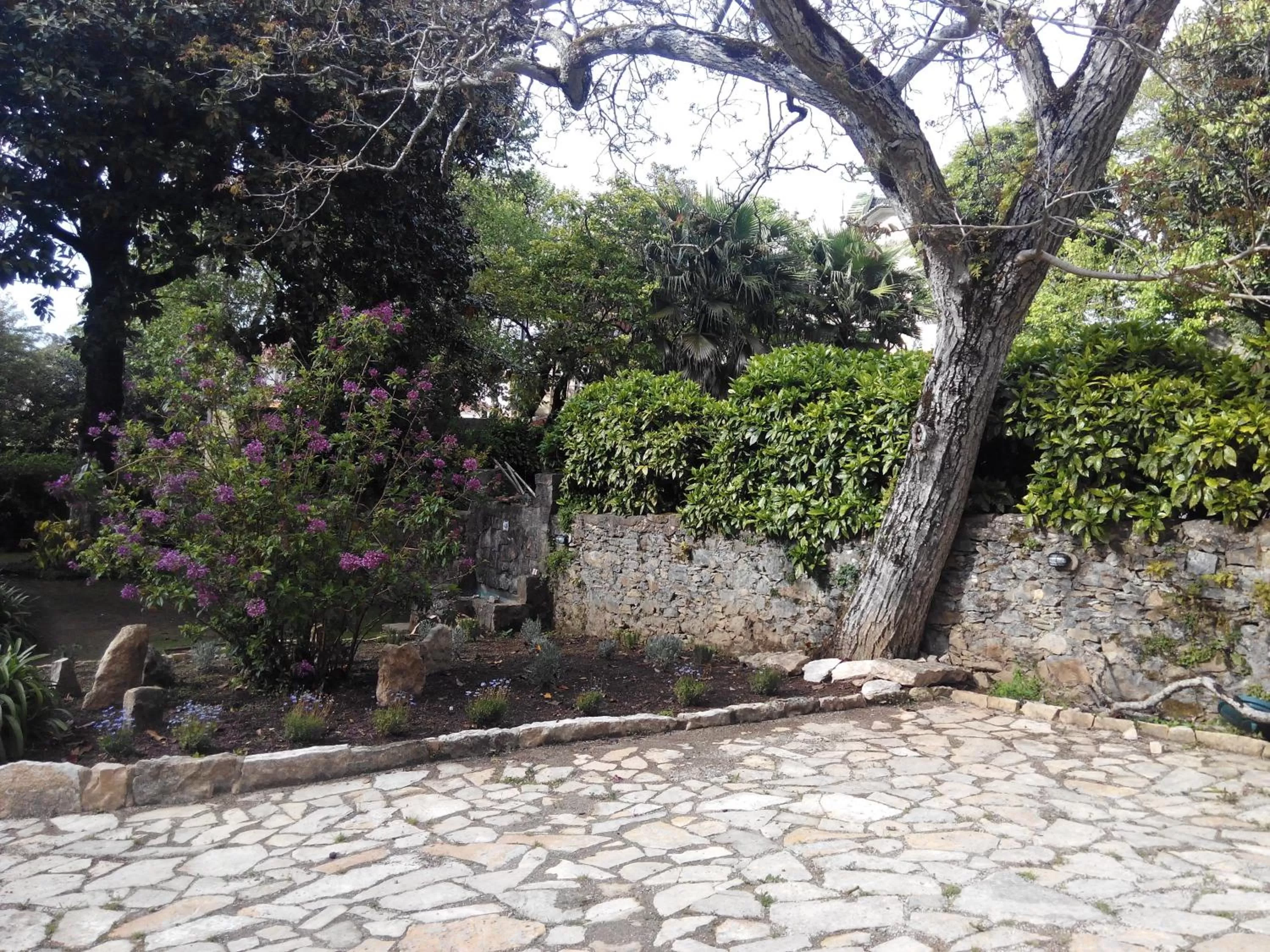 Patio, Garden in Guest House Villa dos Poetas