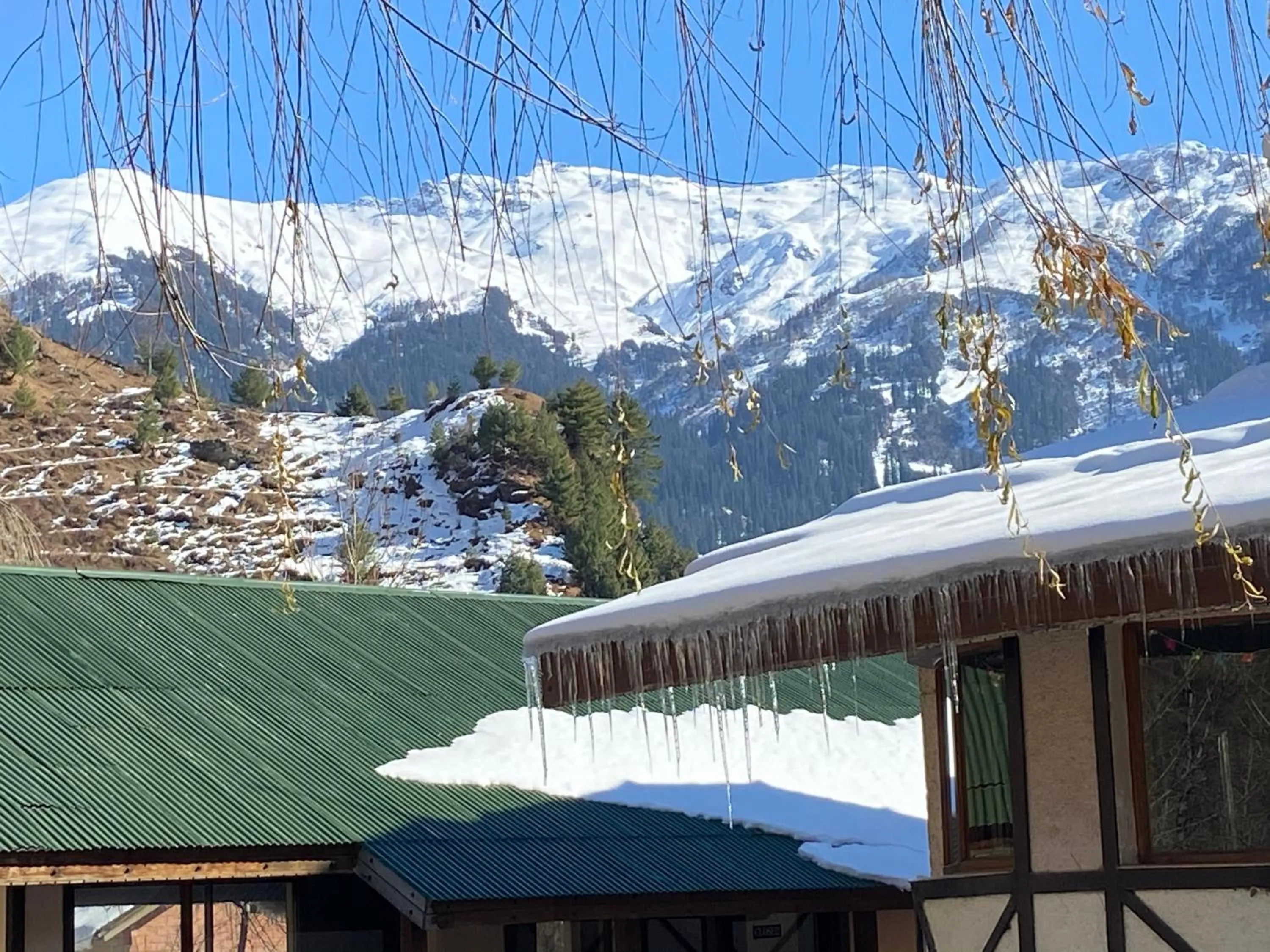 Solang Valley Resort