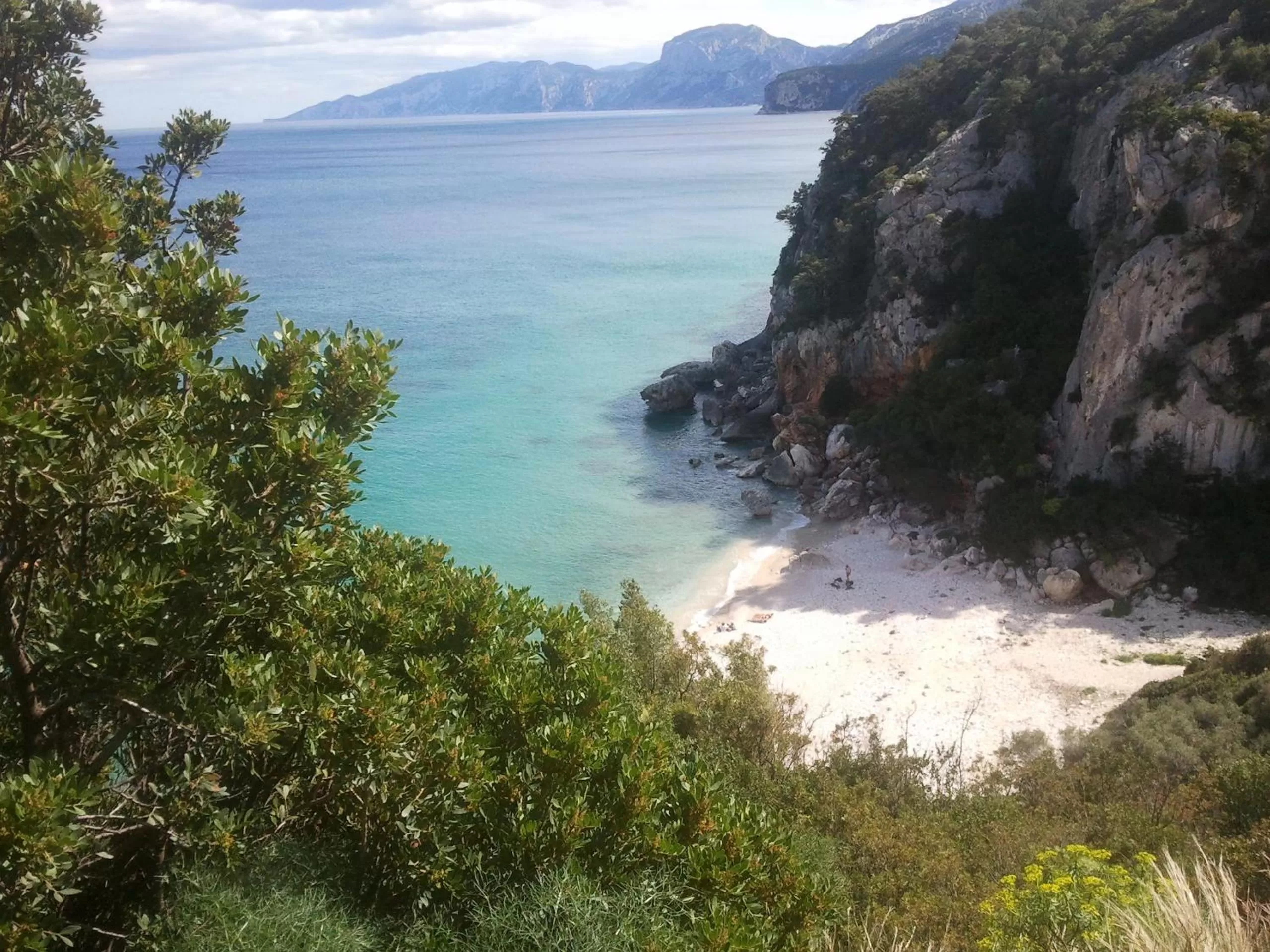 On site in B&B Luce Viola