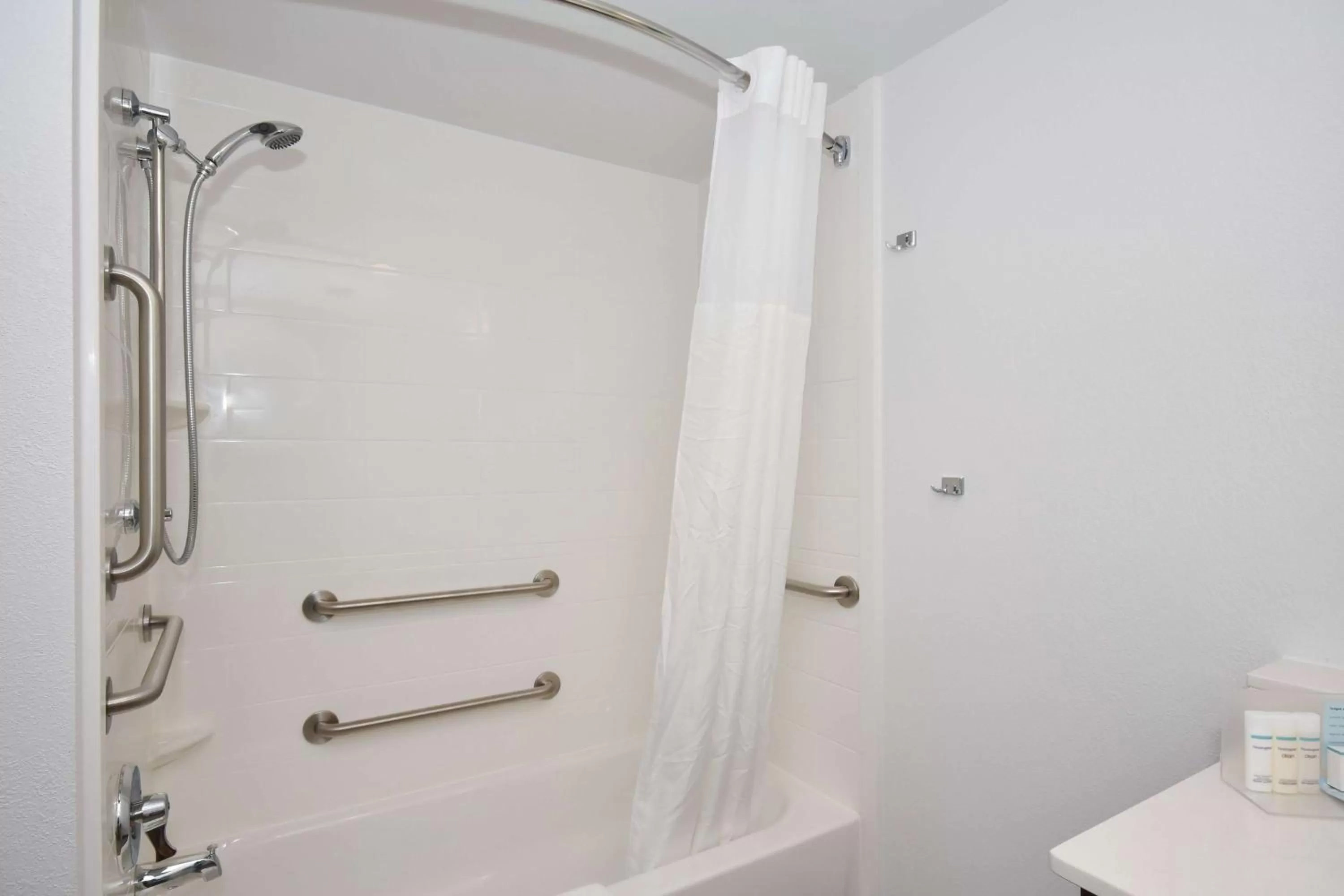 Bathroom in Hampton Inn Brevard