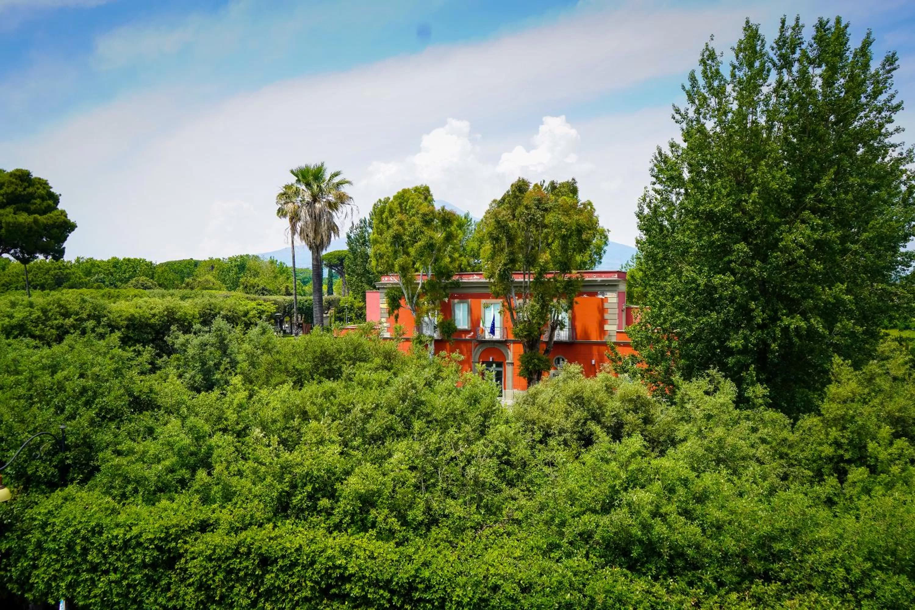 View (from property/room) in Hotel Forum