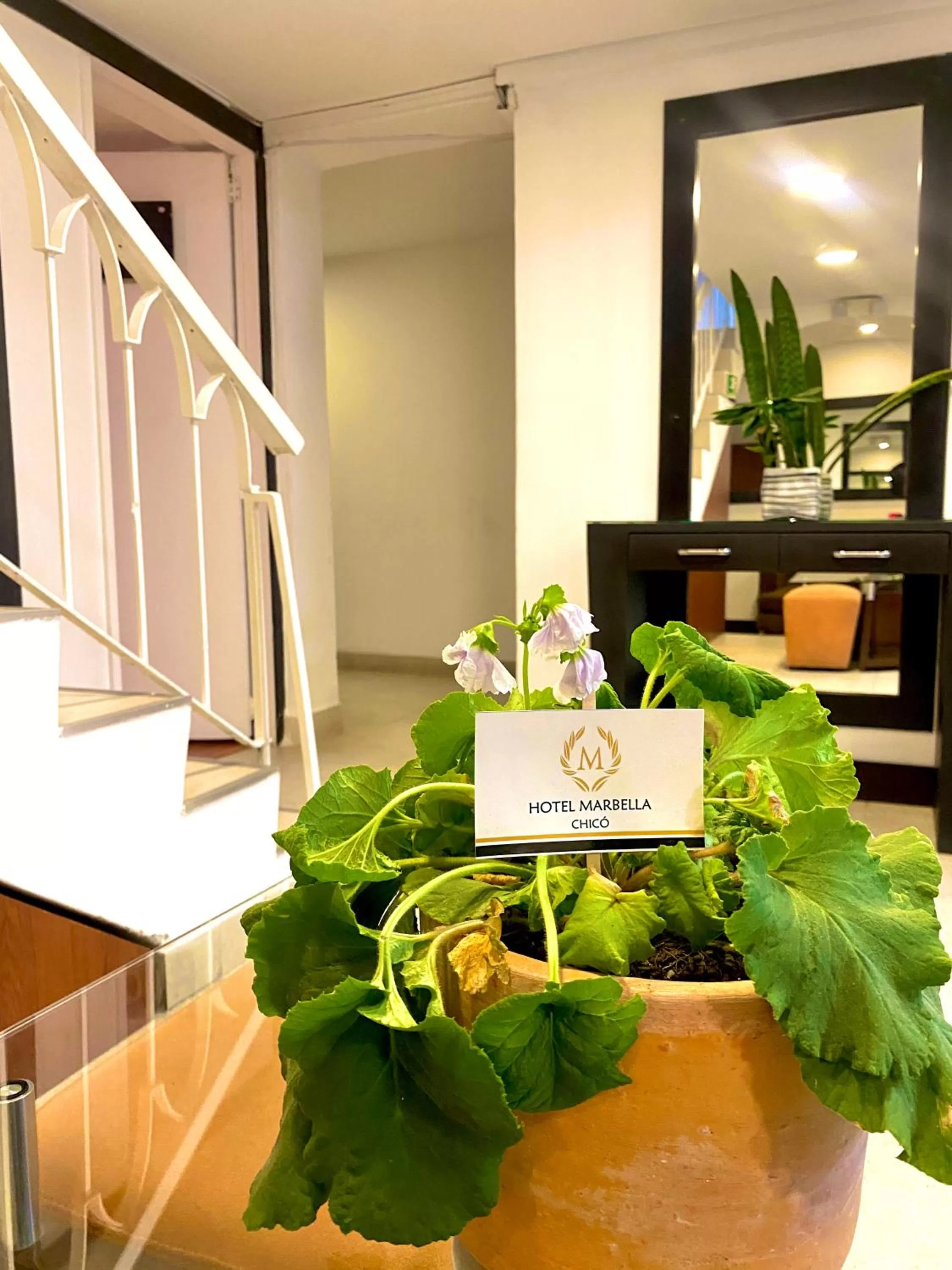 Lobby or reception in Hotel Marbella Chico