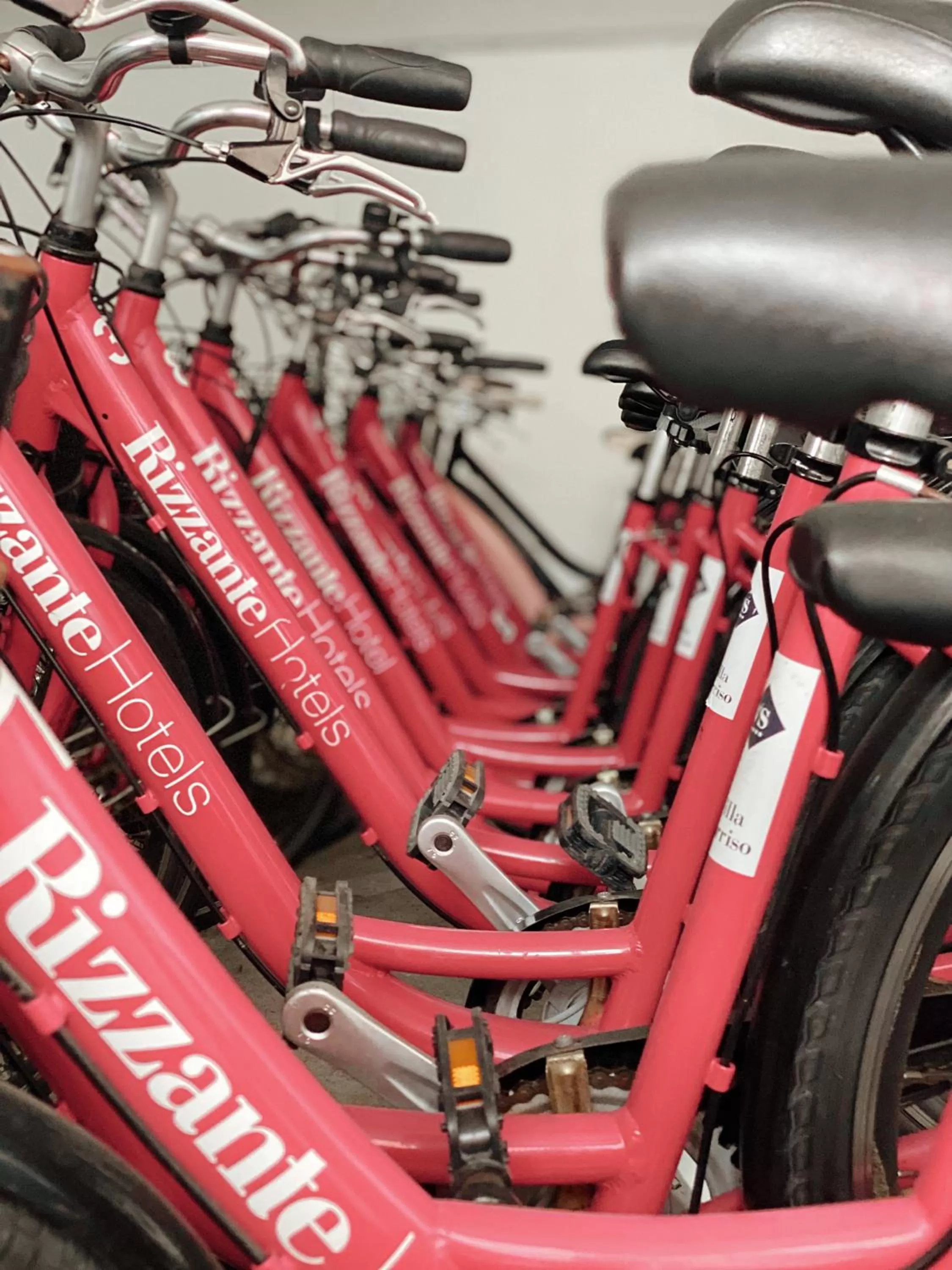 Cycling in Hotel Villa Sorriso