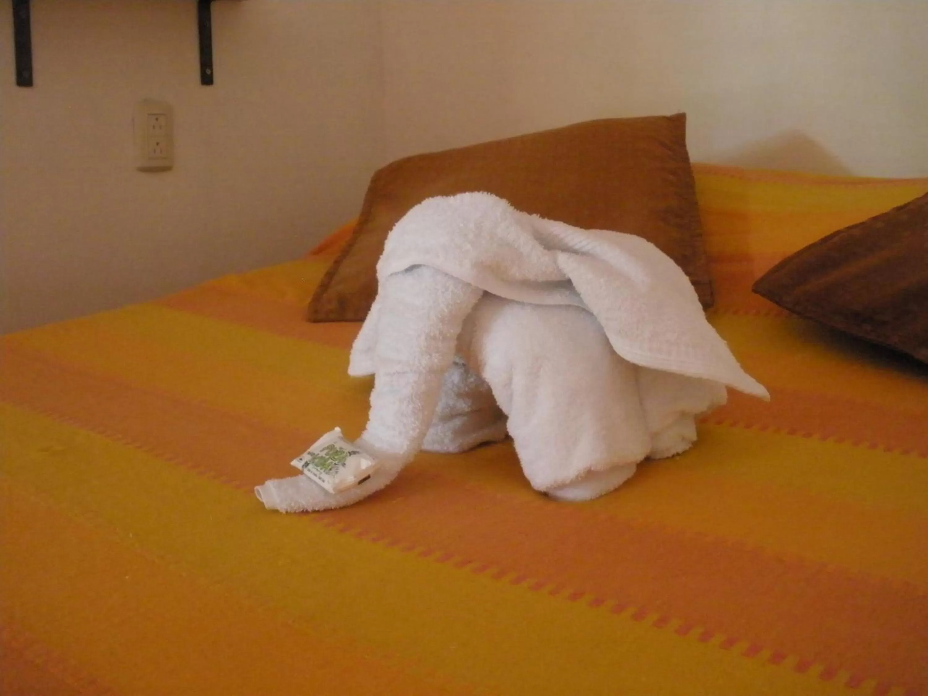 Bed in Cabañas Green House