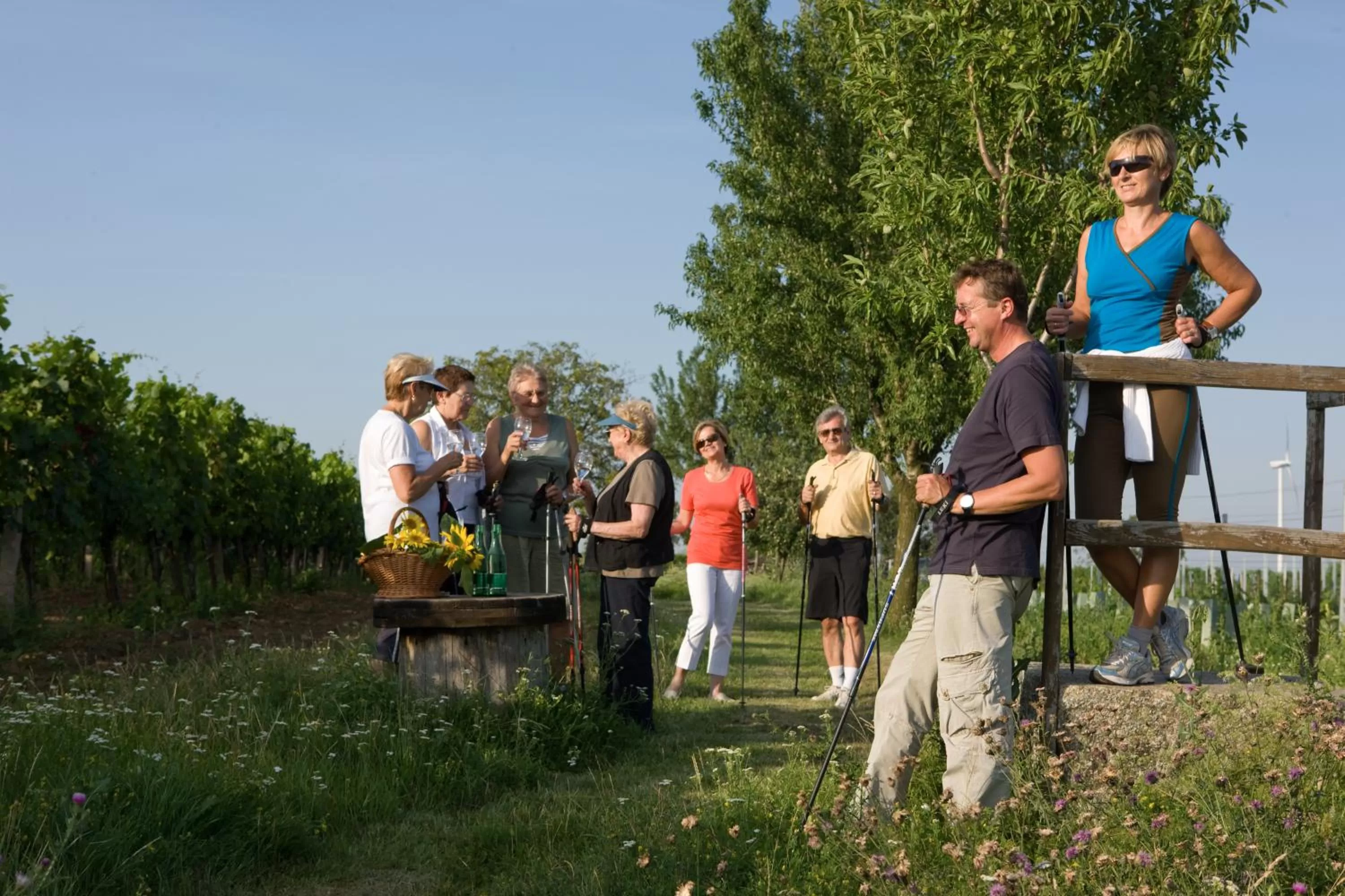 Hiking in BIRKENHOF GOLS - B & B - Wohlfühl Hotel mit Wochenend-Restaurant