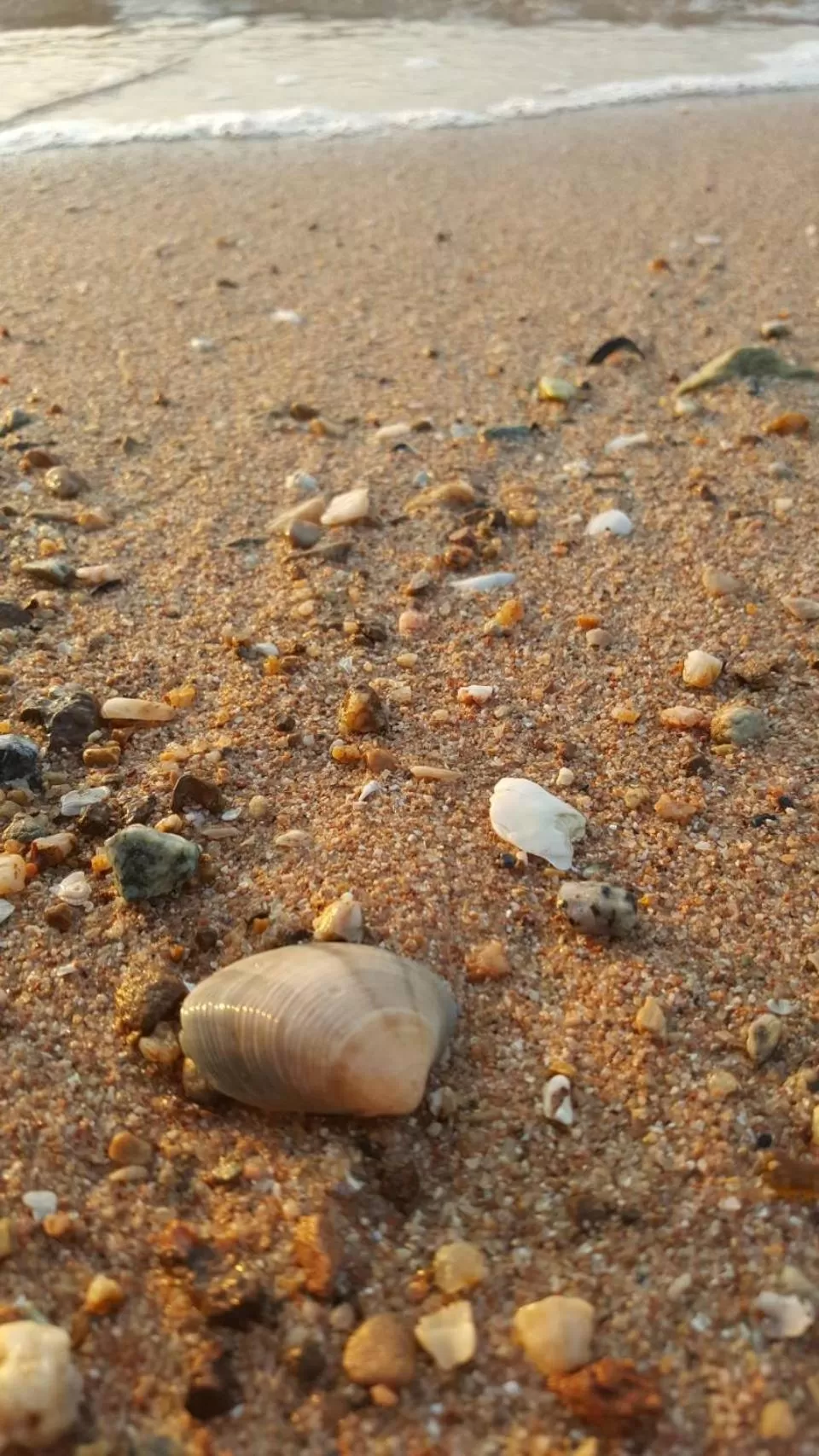 Beach in โรงแรม ชาโตว์วิสต้า