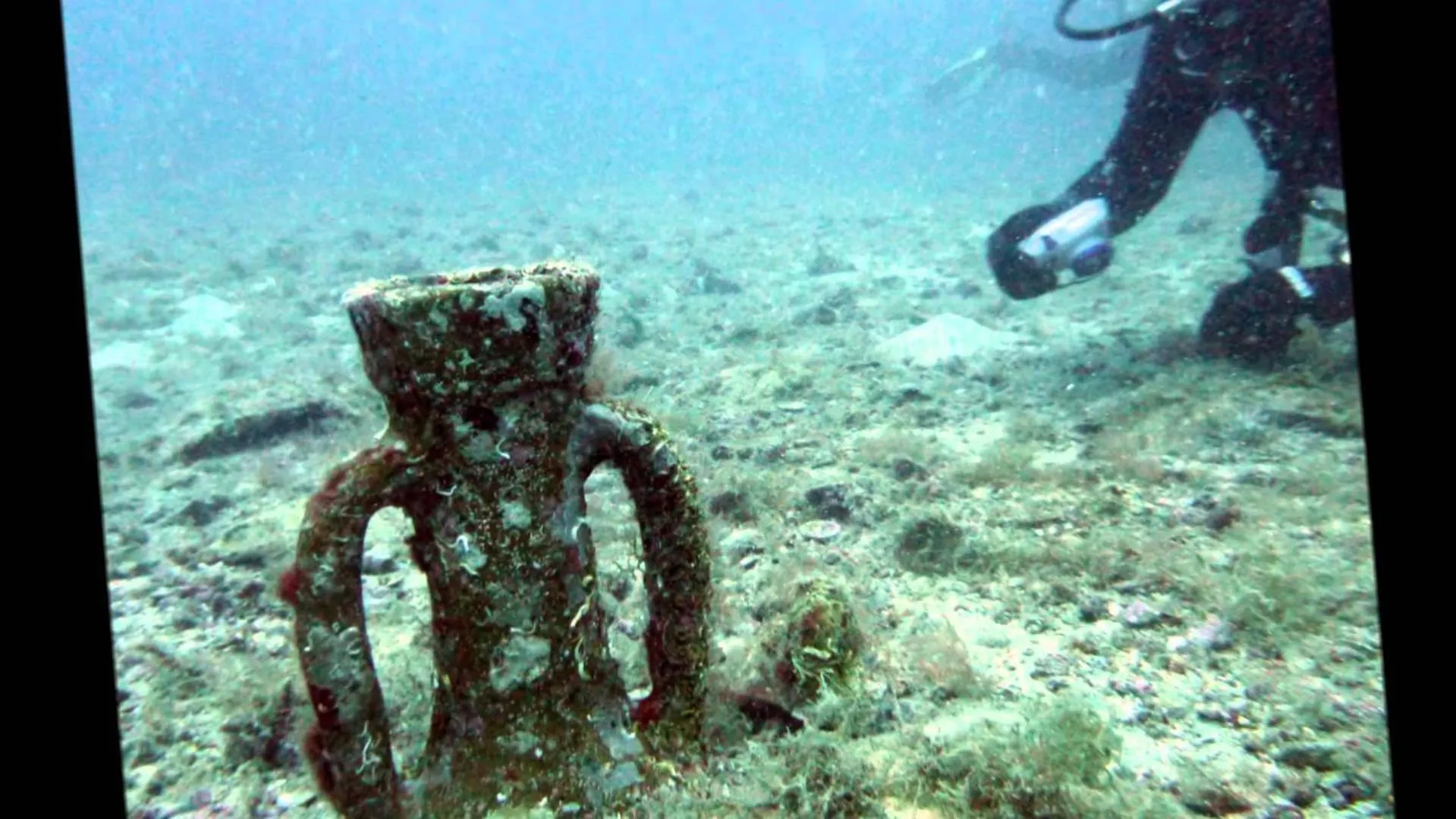 Diving in Punta Campanella Resort & Spa