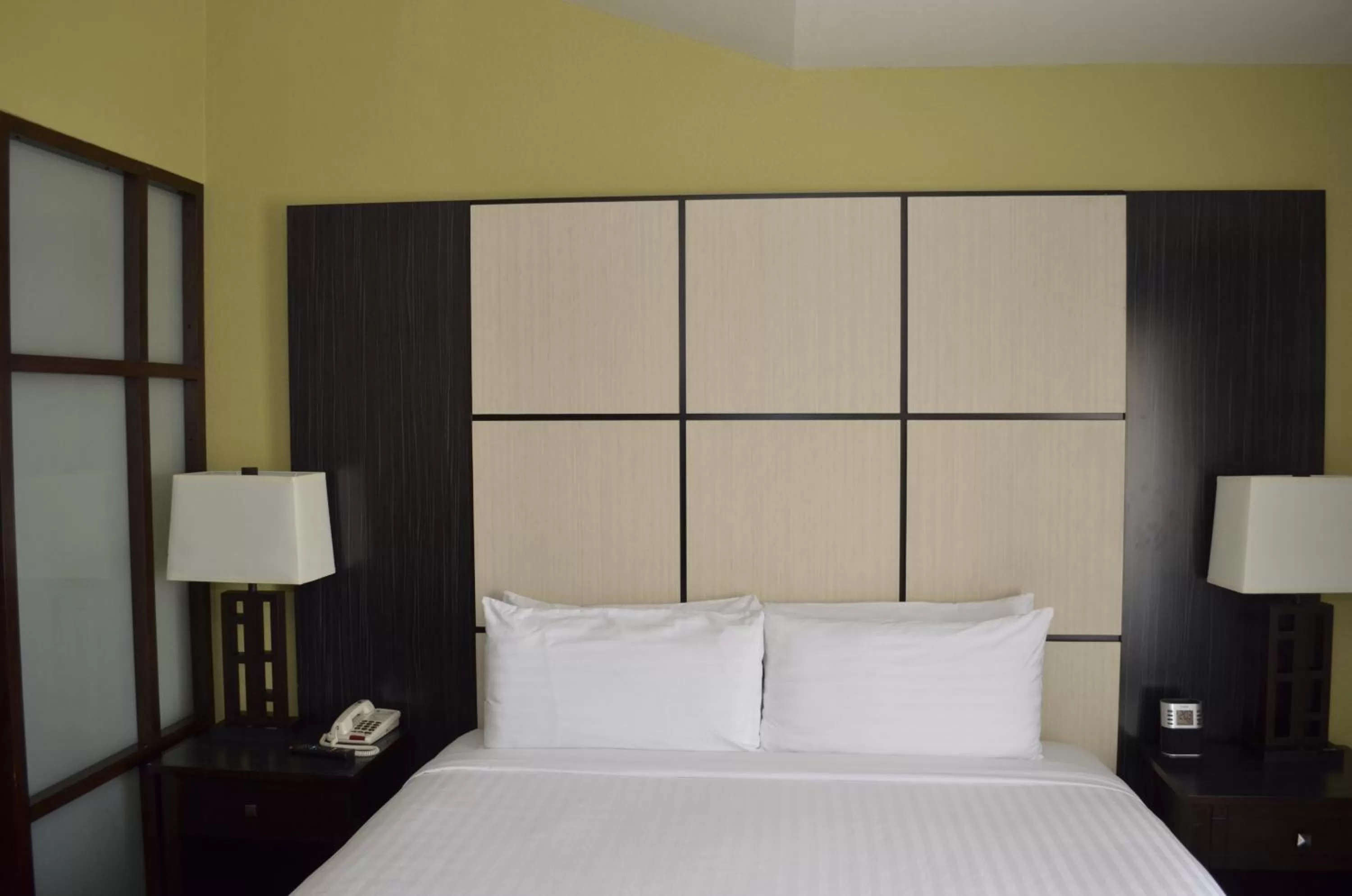 Bed in Super 8 by Wyndham Irving/DFW Apt/North