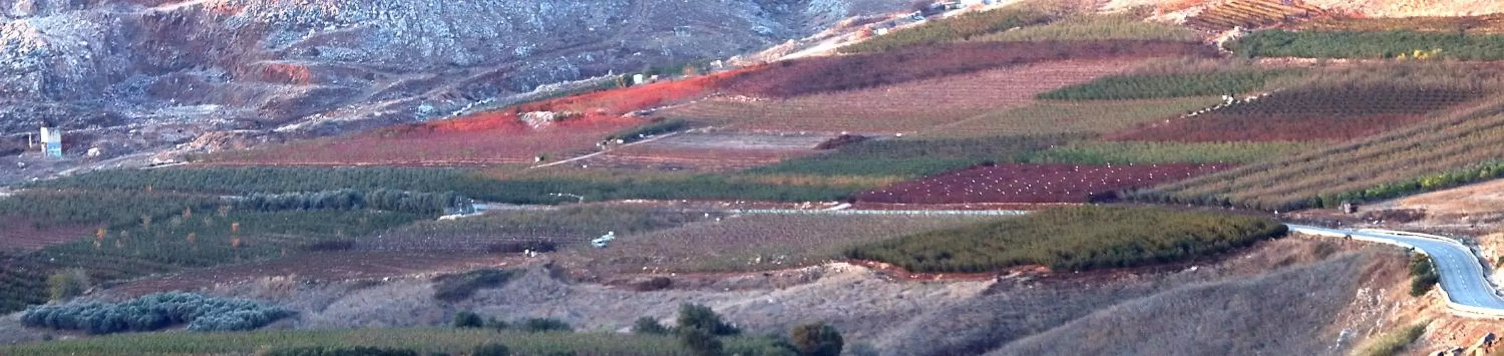 Suite - single occupancy in HaBaronit Suite - single occupancy in HaBaronit