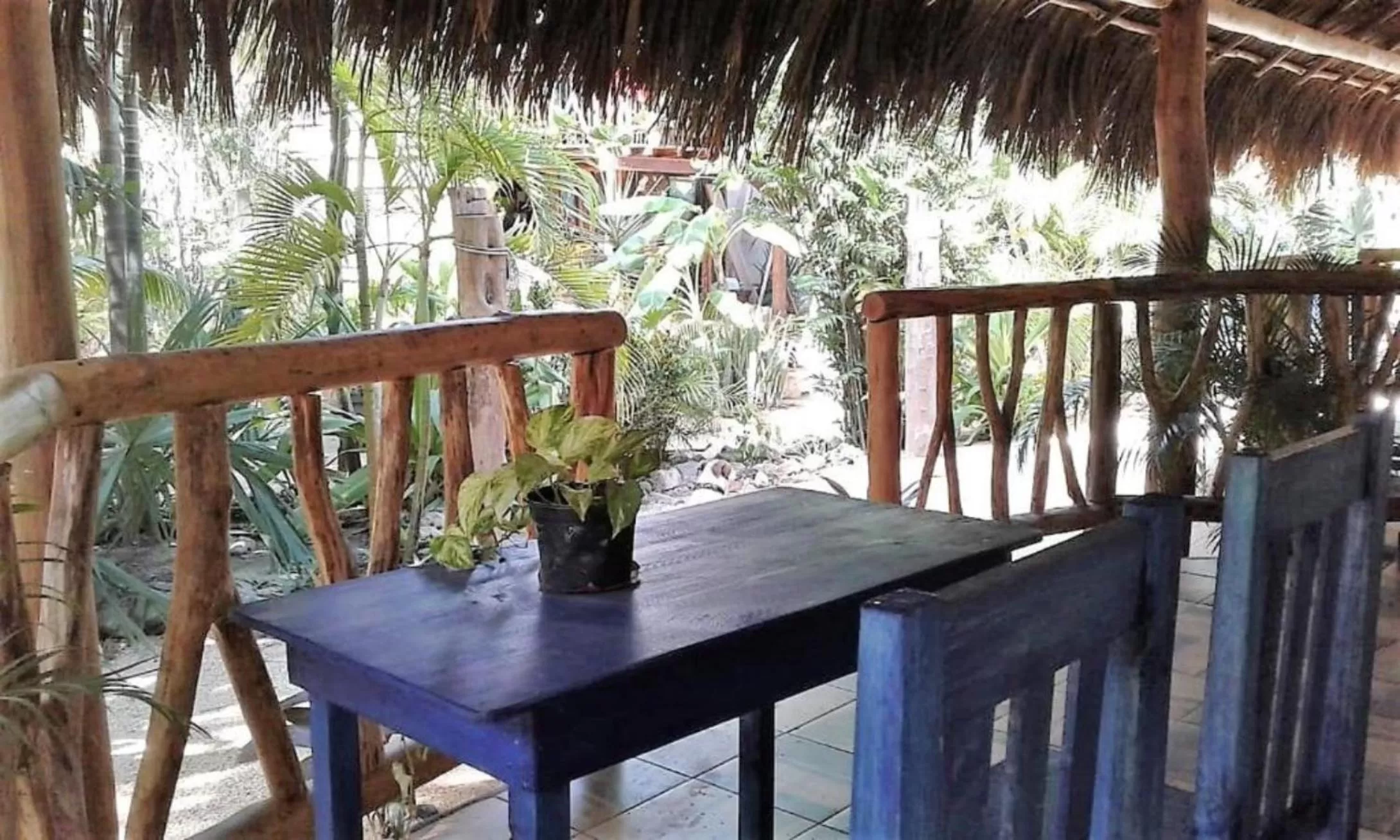 Day in Zamunda Garden View