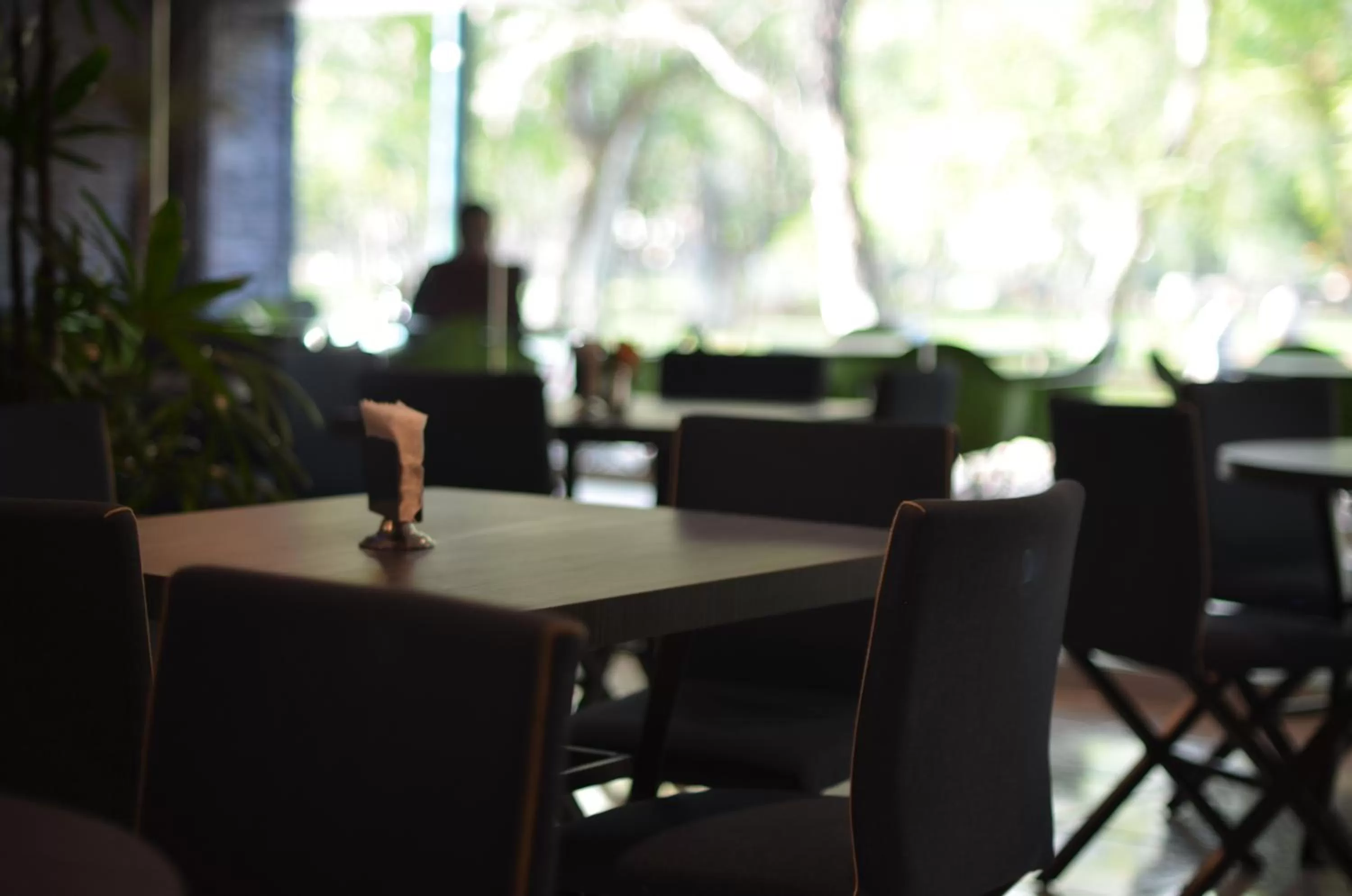 Restaurant/places to eat in Hotel Diana del Bosque by DOT Urban