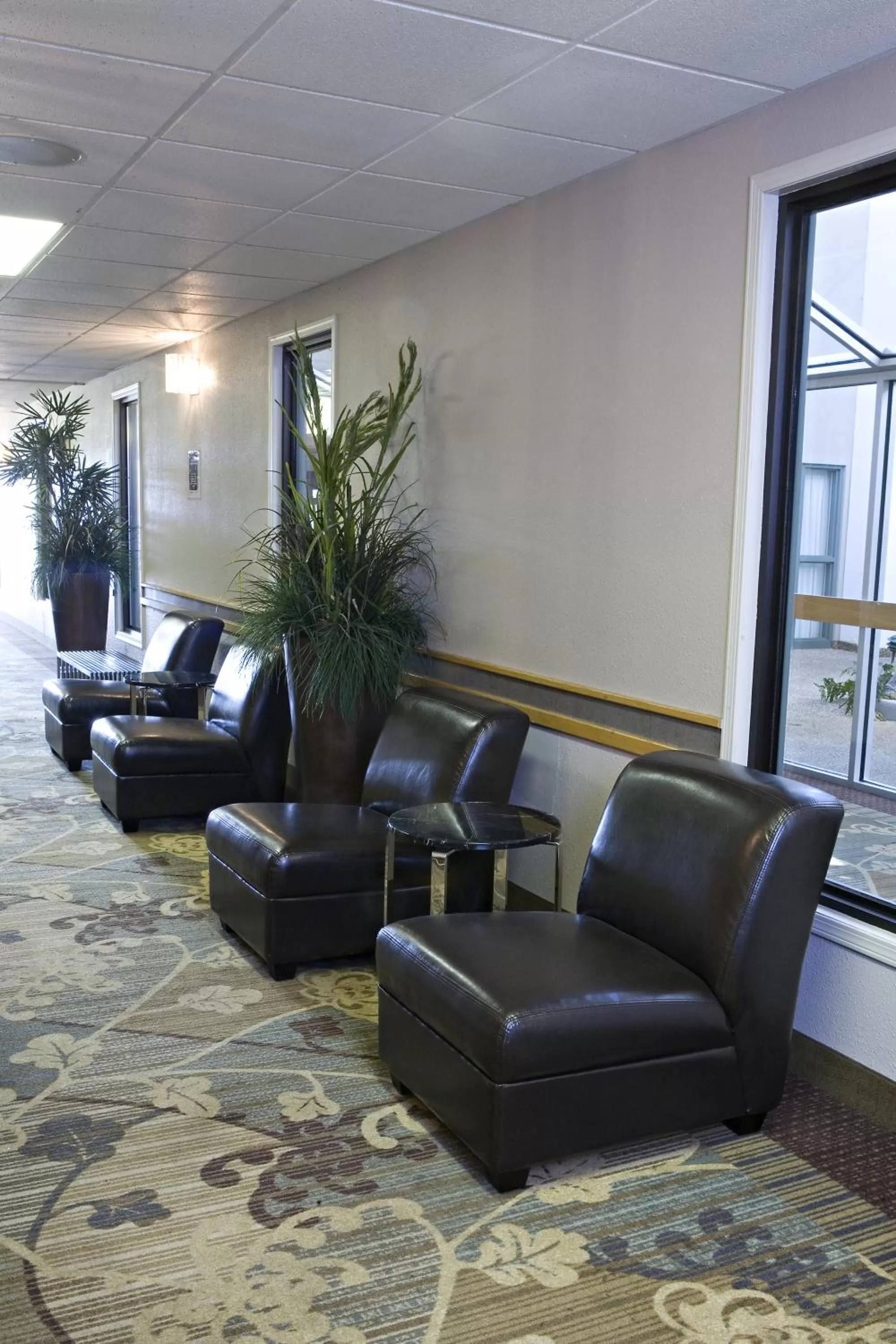 Area and facilities in Heritage Inn Hotel & Convention Centre - Taber