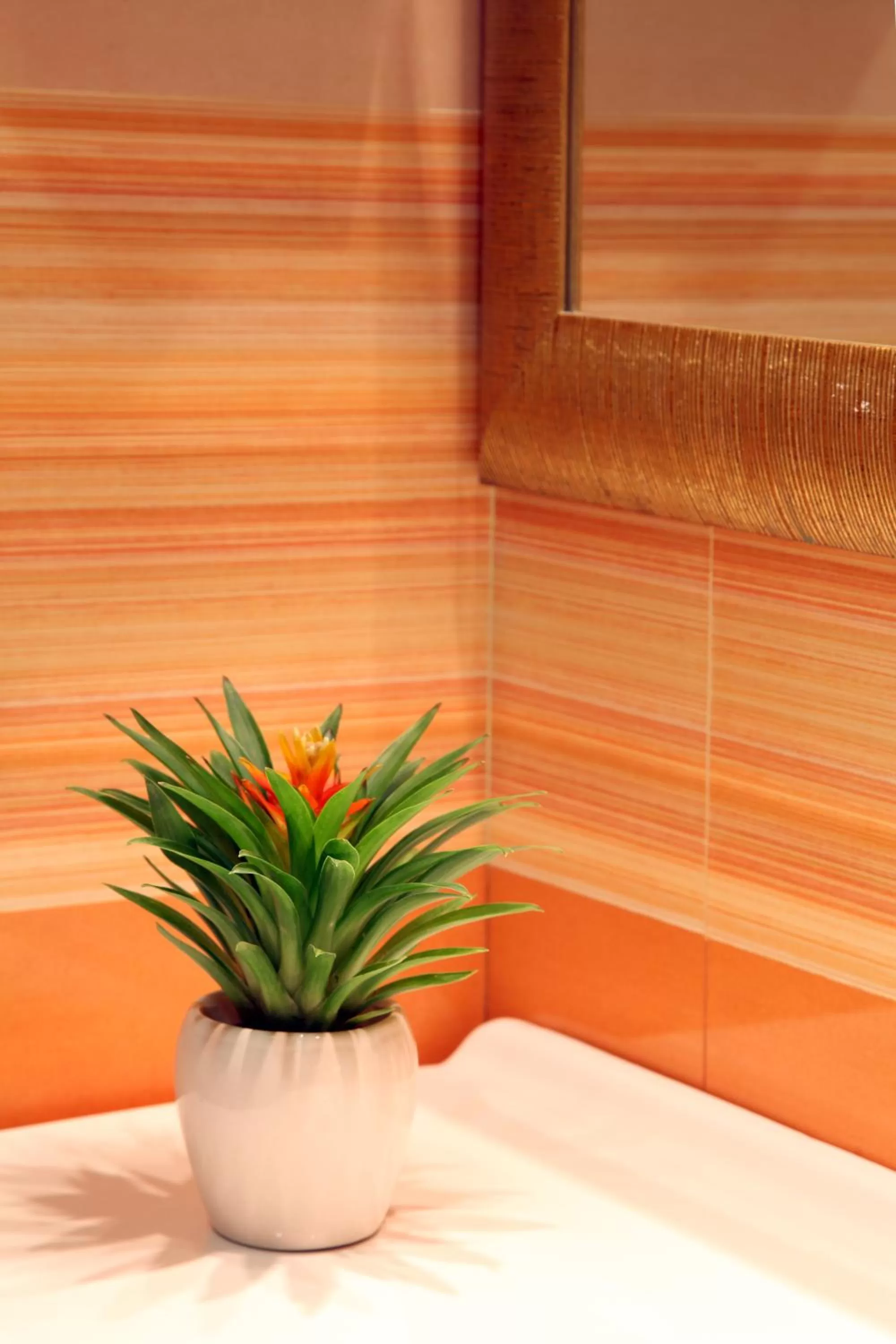 Decorative detail in Hotel Serena srl