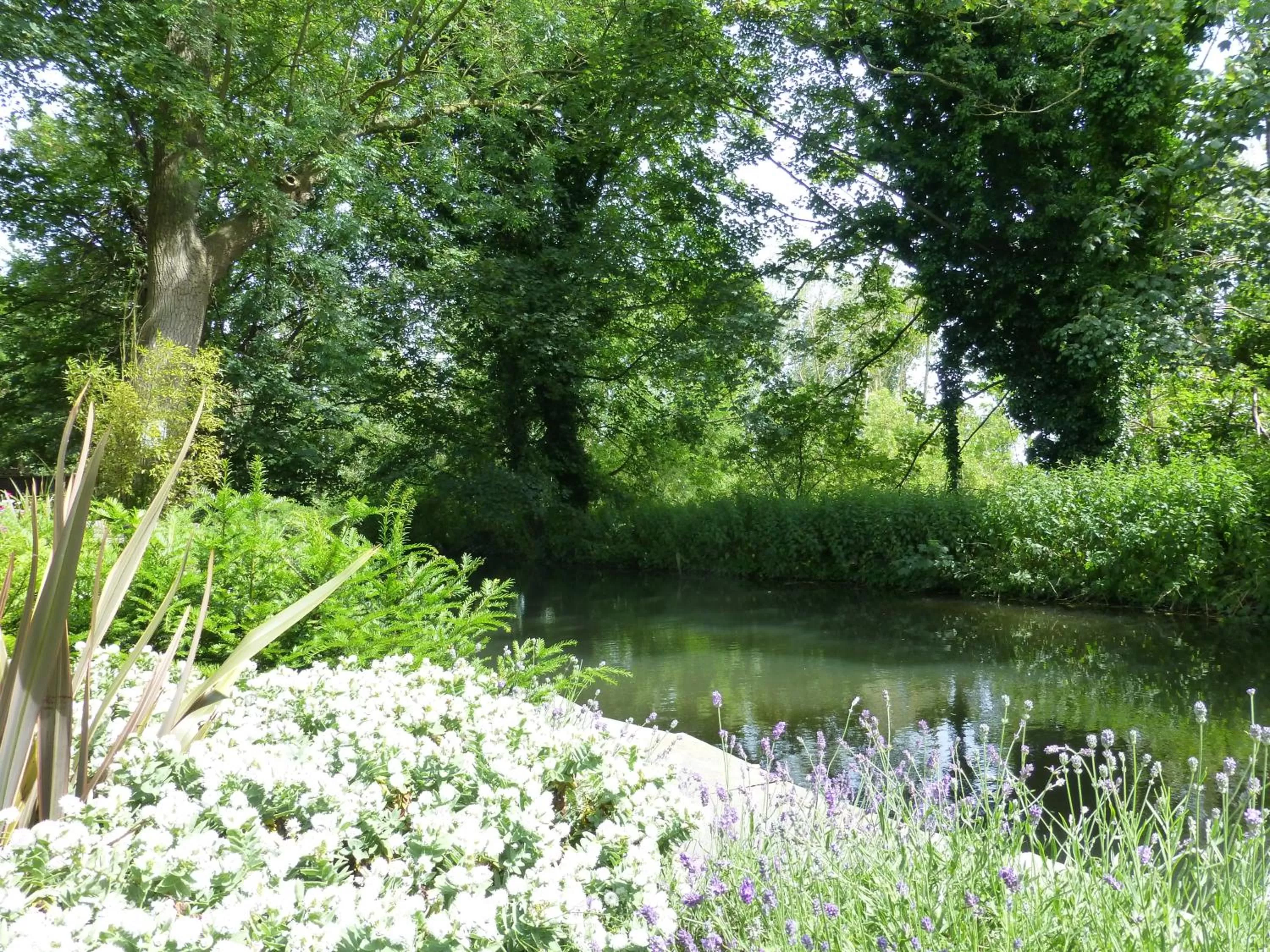 Garden in The Riverside House Hotel