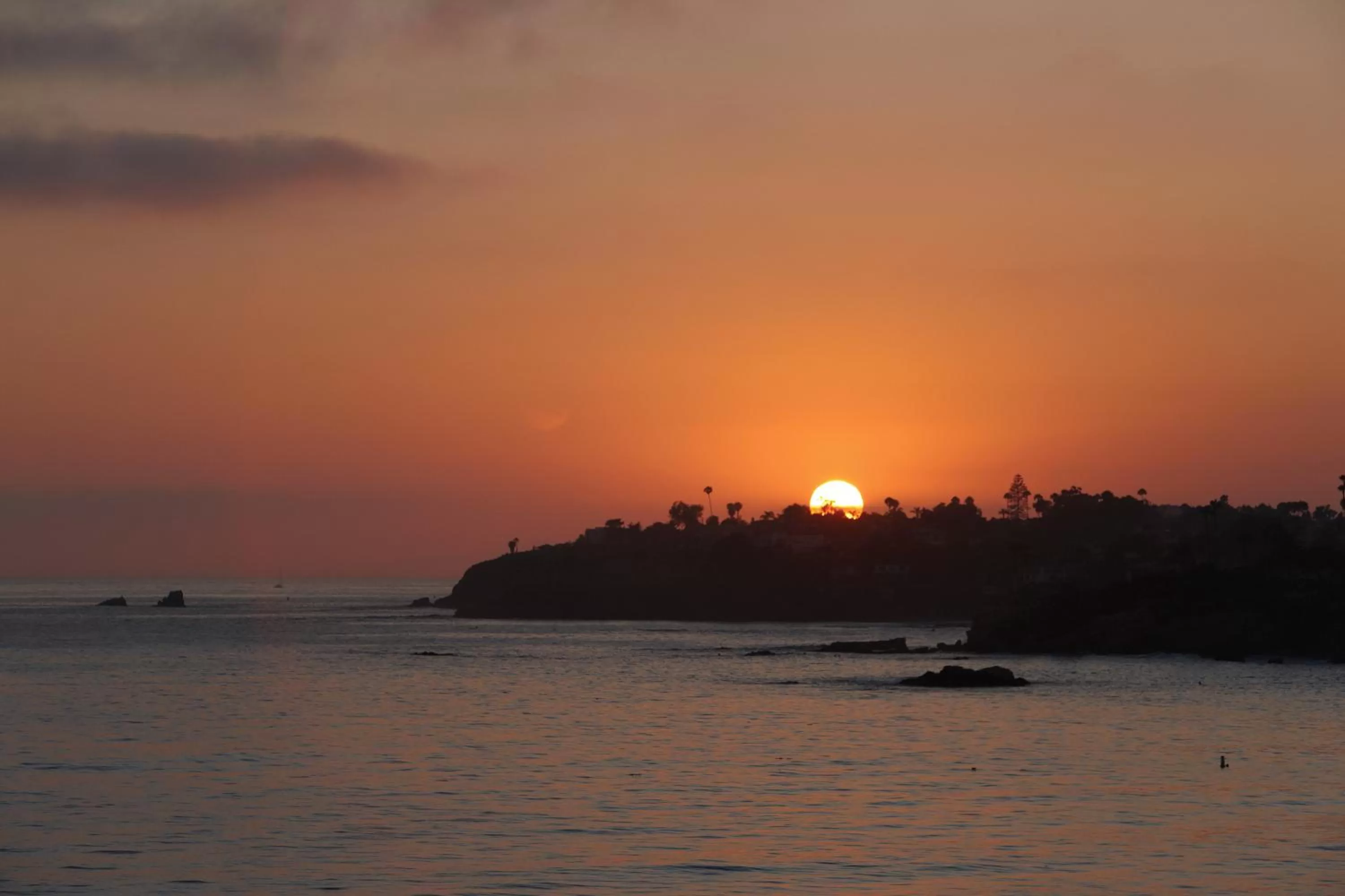 View (from property/room) in Pacific Edge Hotel on Laguna Beach