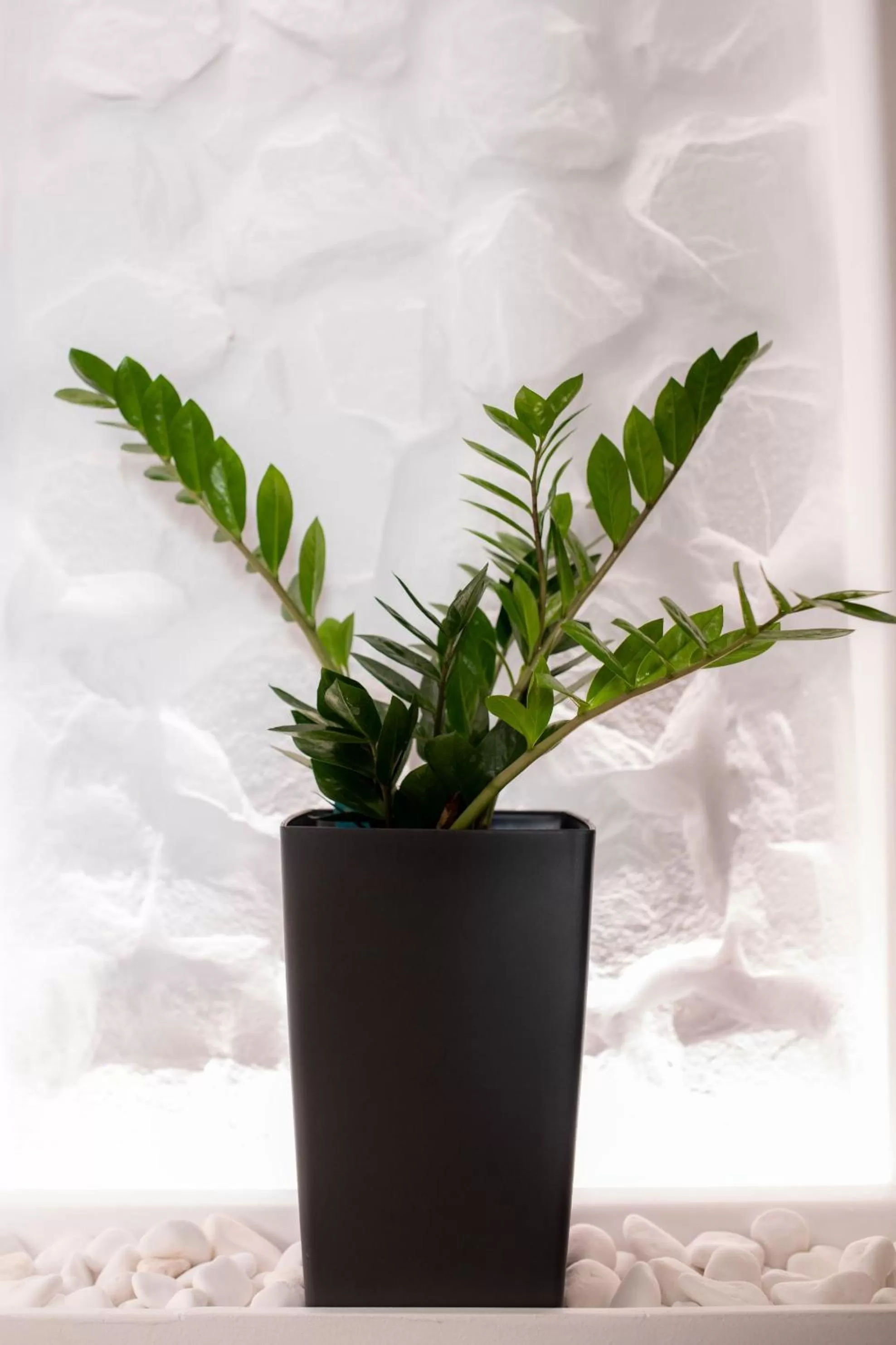 Shower in Arco Naxos Luxury Apartments