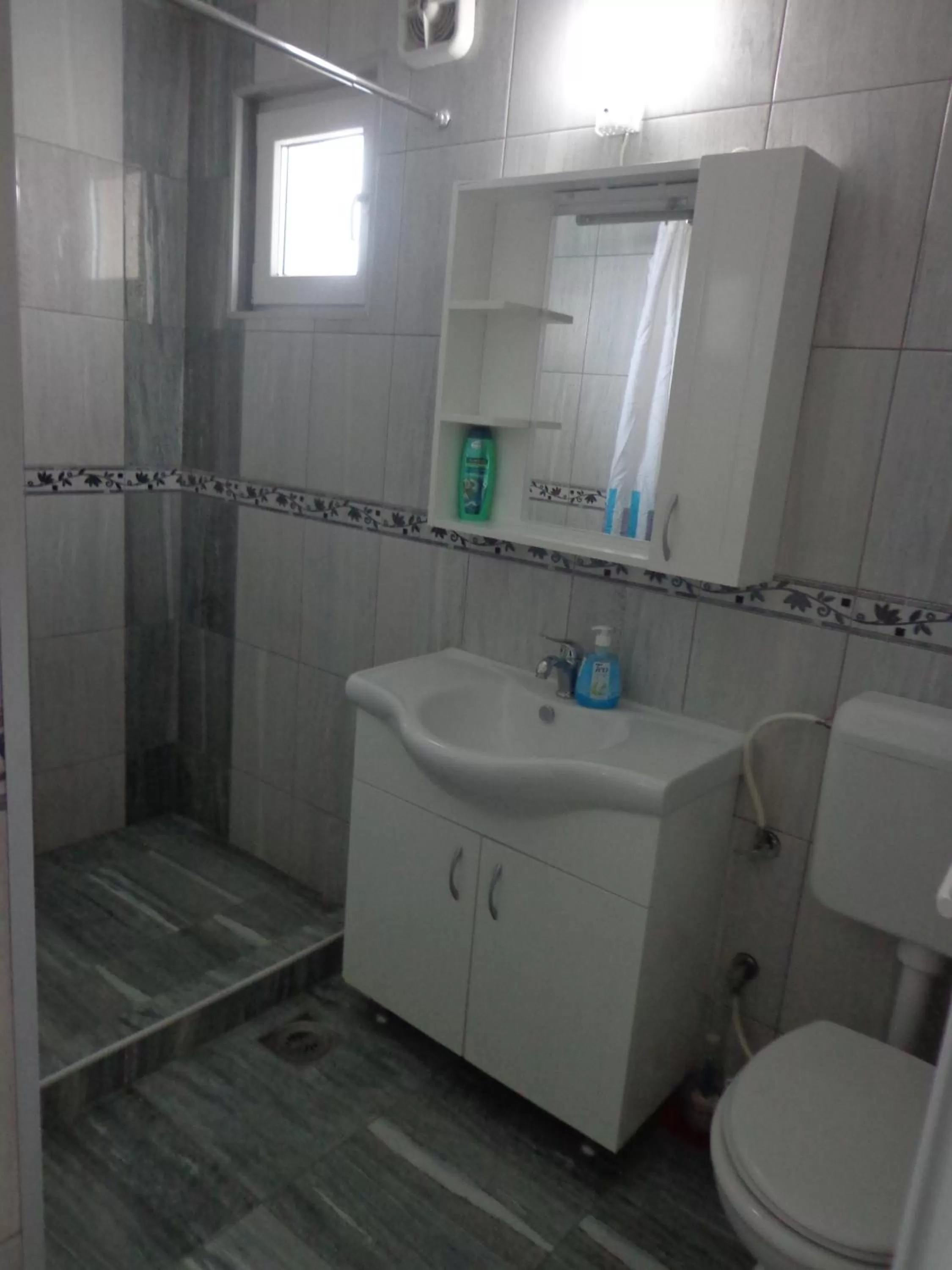 Area and facilities, Bathroom in Hotel Rio