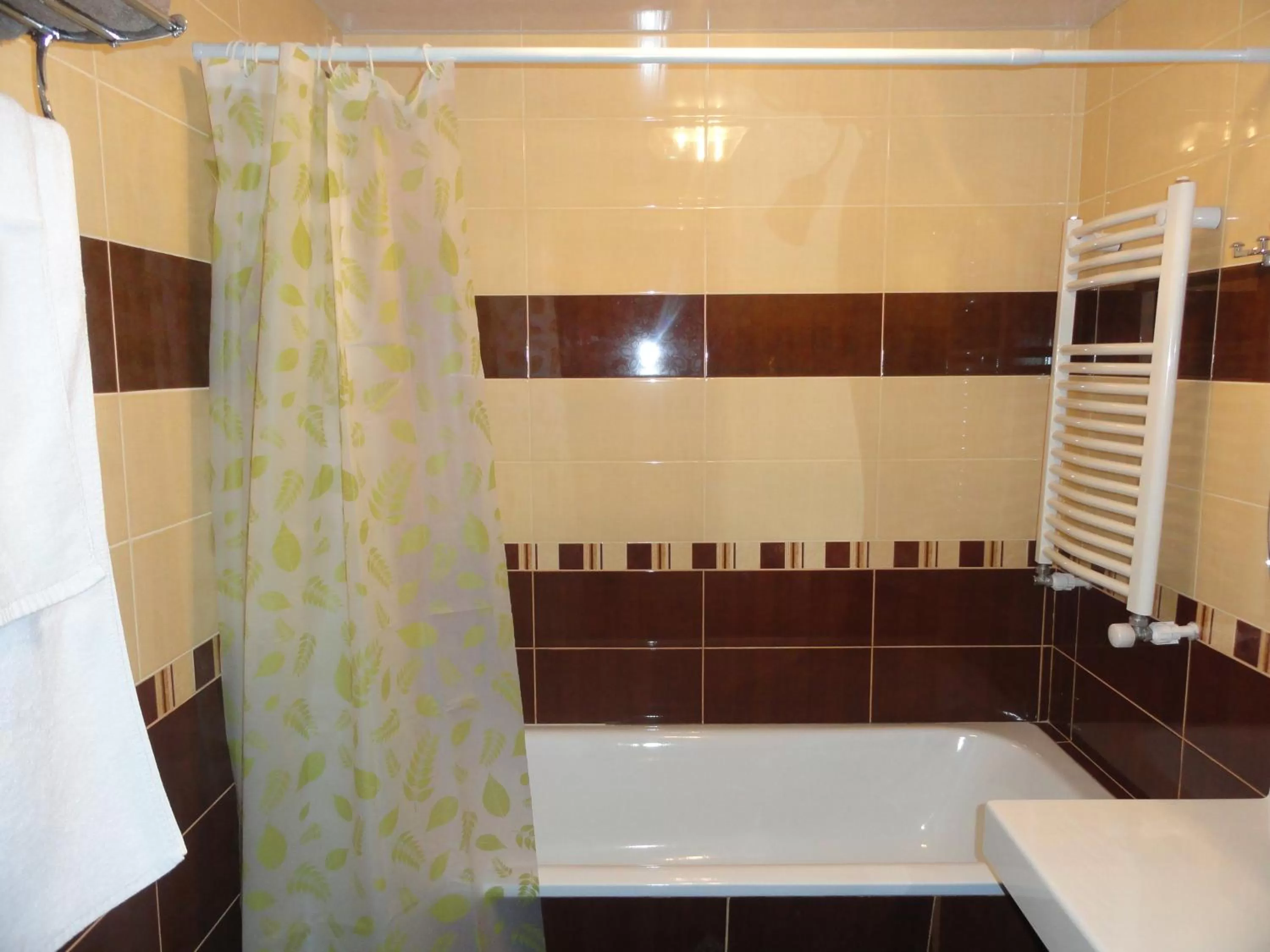 Bathroom in Diana Hotel