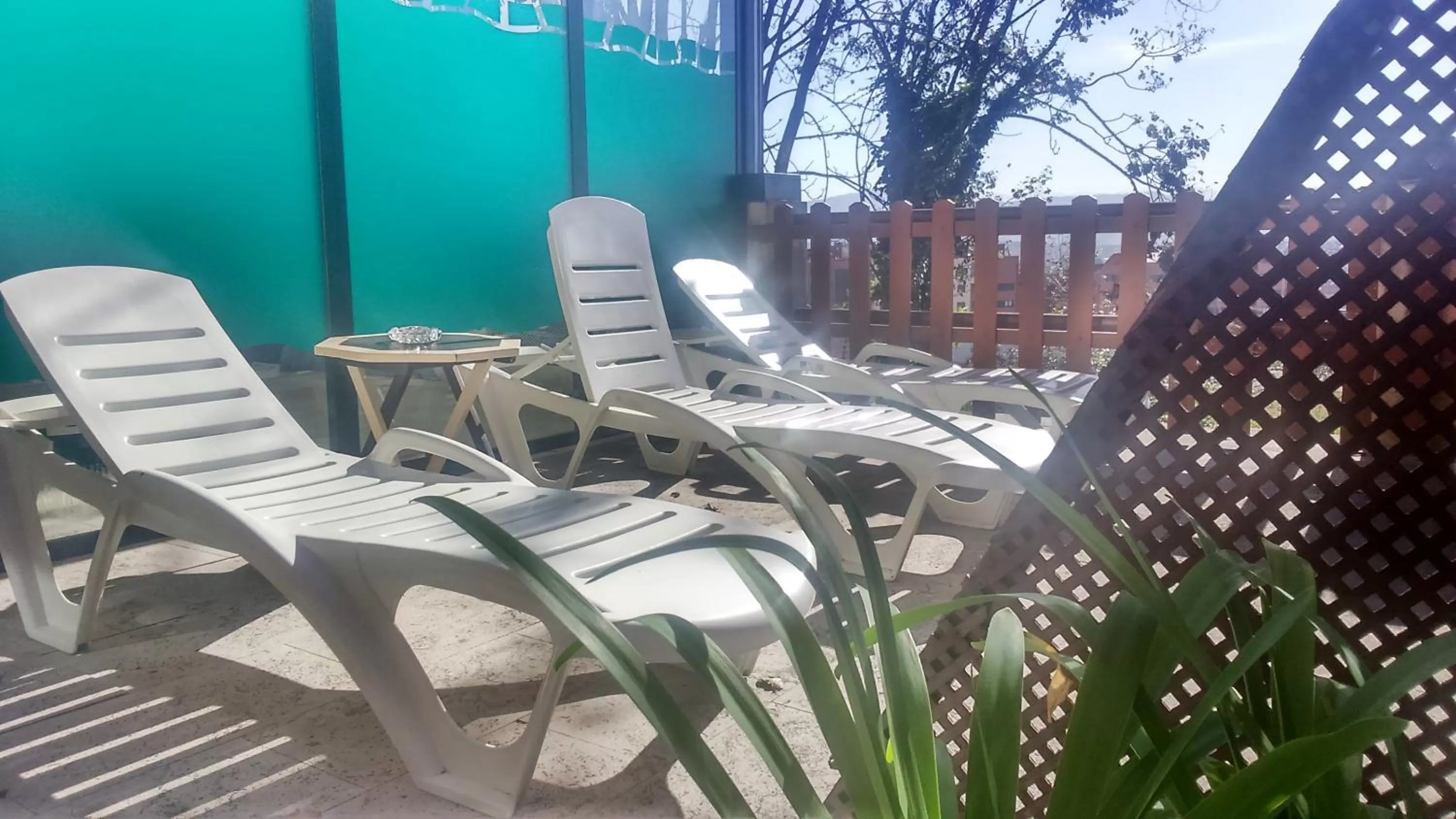 Area and facilities in Hotel San Millán