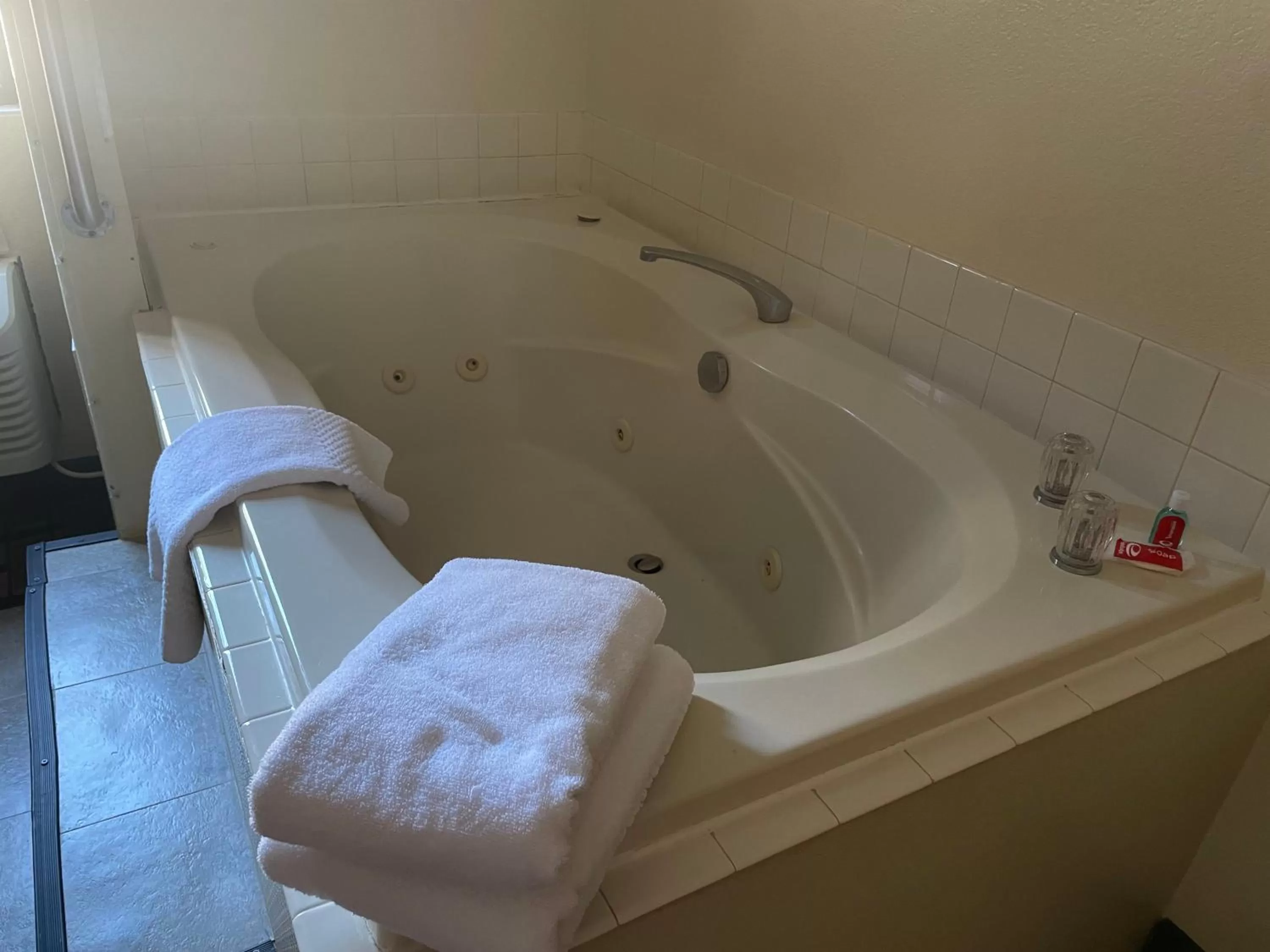 Hot Tub in Econo Lodge Kalamazoo near Wings Stadium