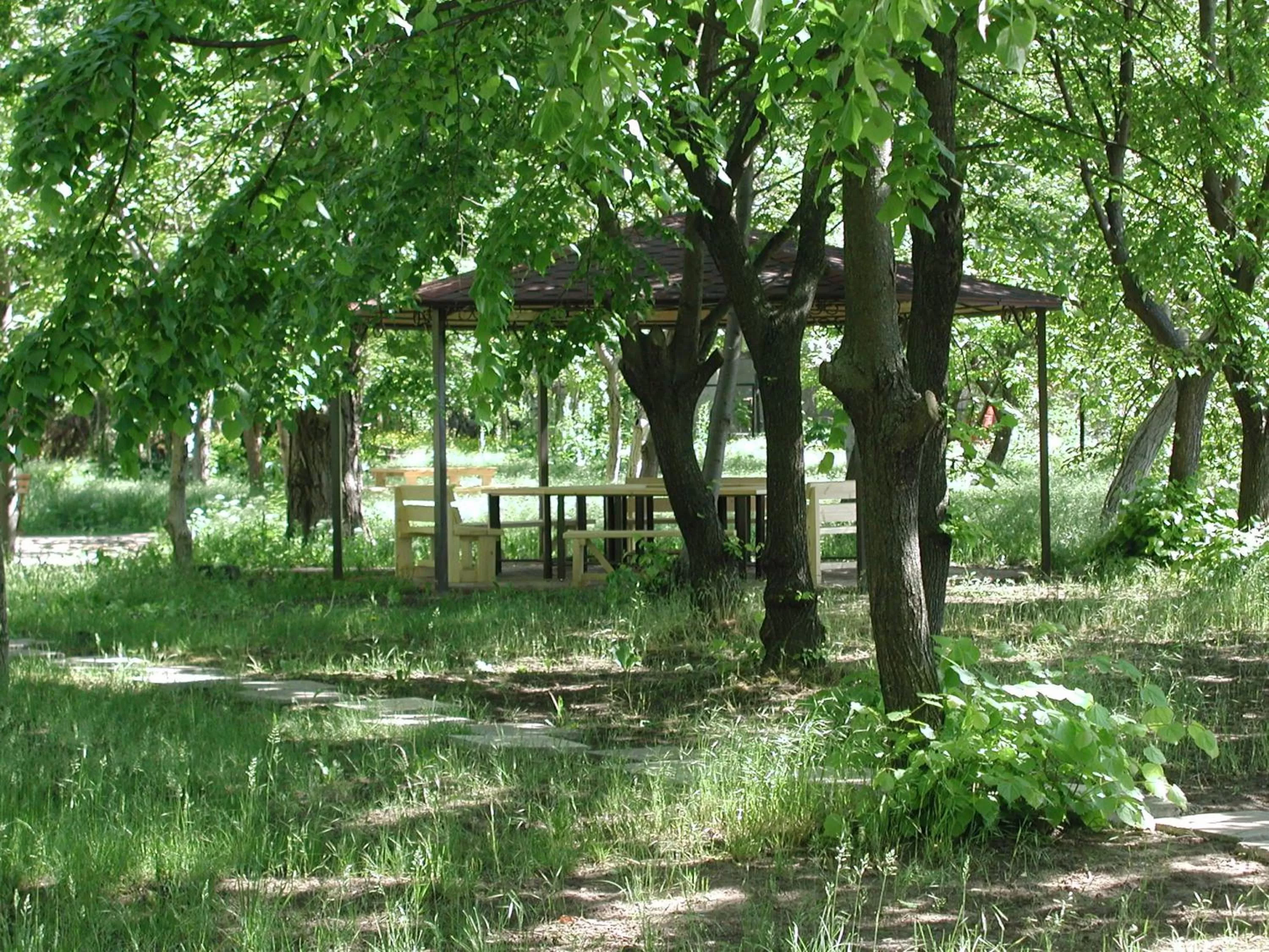 BBQ facilities, Property Building in Zelenyi Kampus