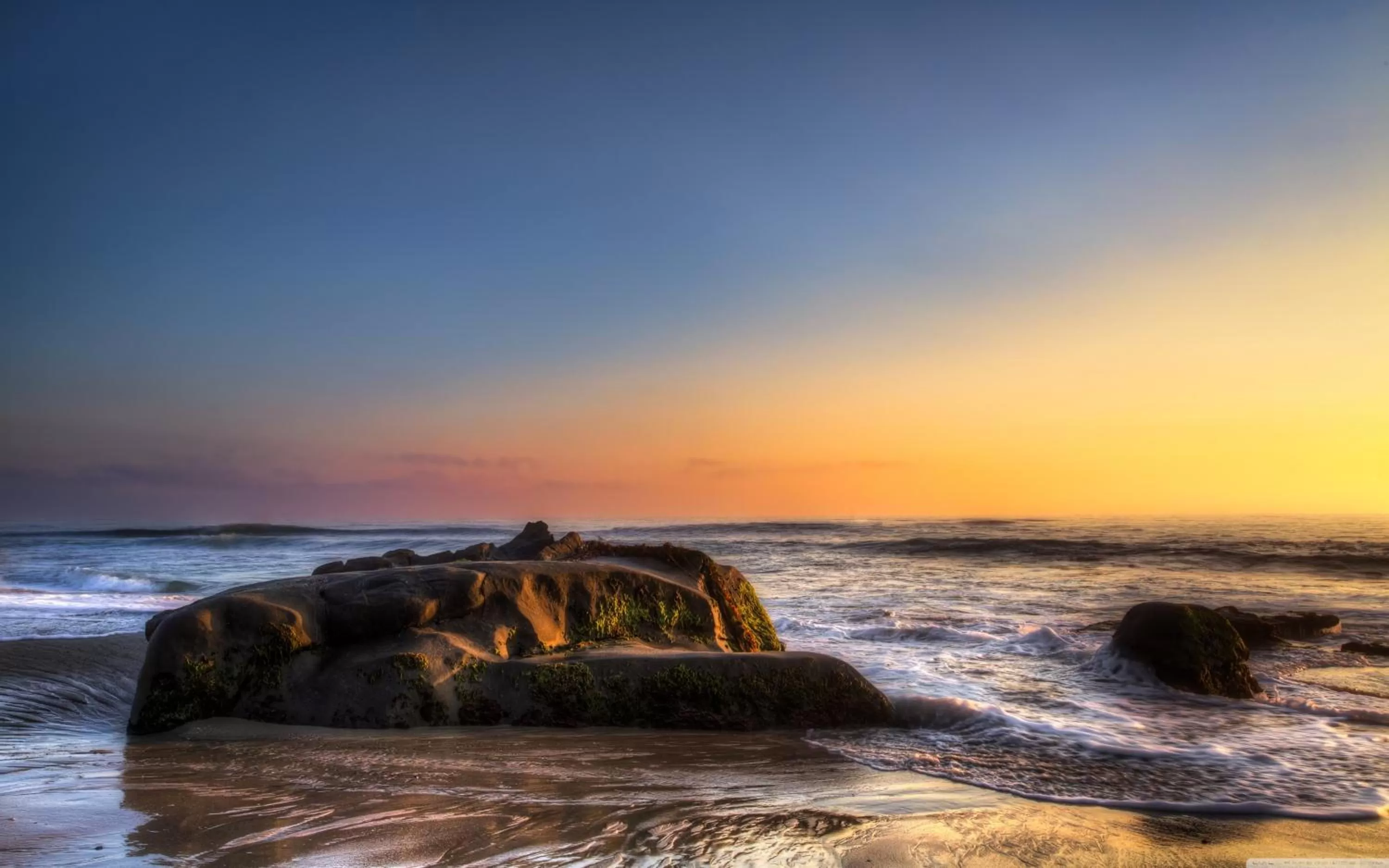 Area and facilities, Natural Landscape in Holiday Inn Express San Diego SeaWorld, an IHG Hotel